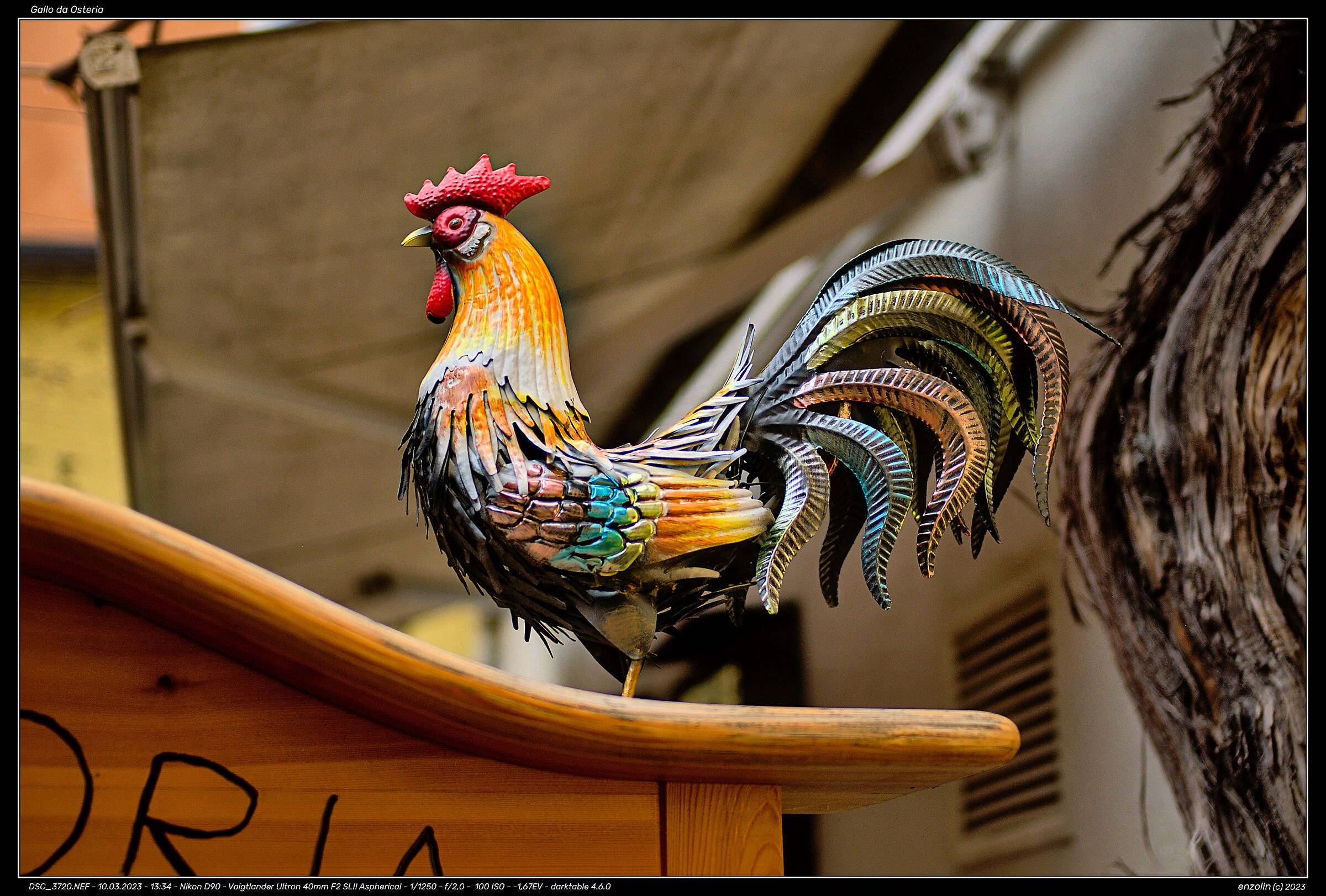 Rooster from Osteria