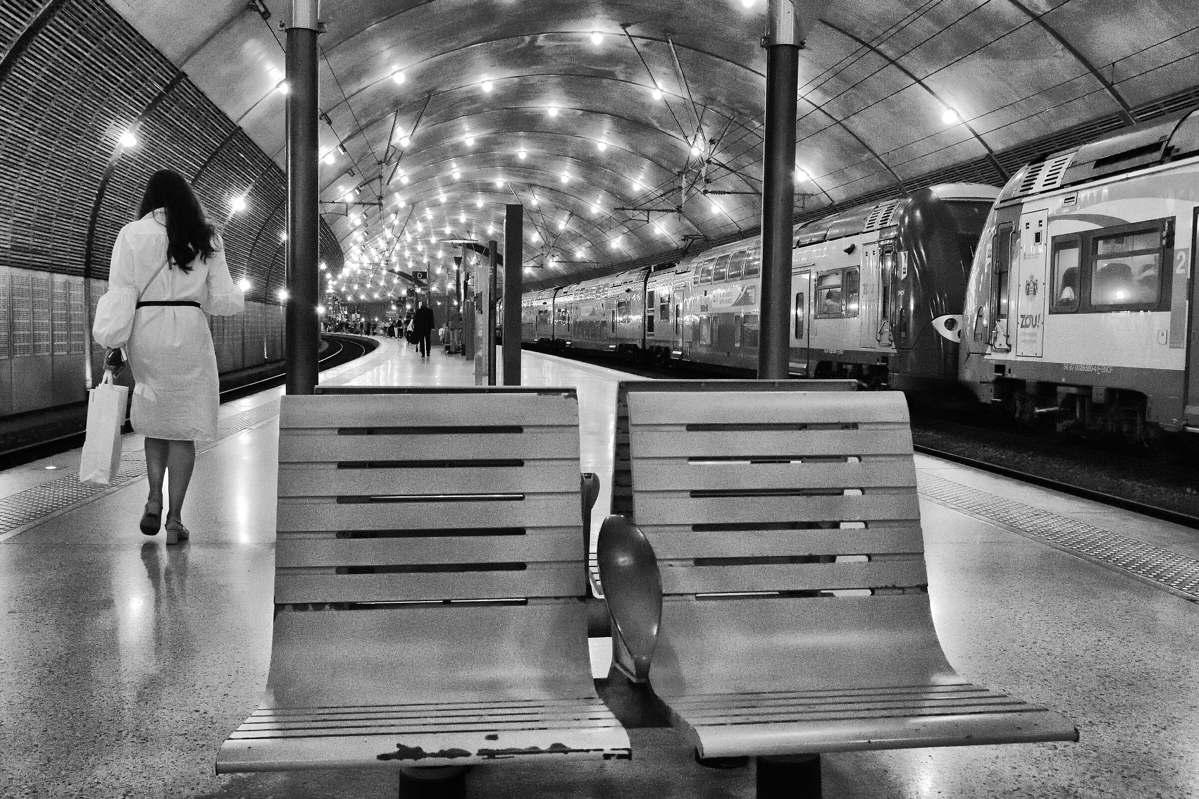 The Gare de Monaco... Waiting for ?