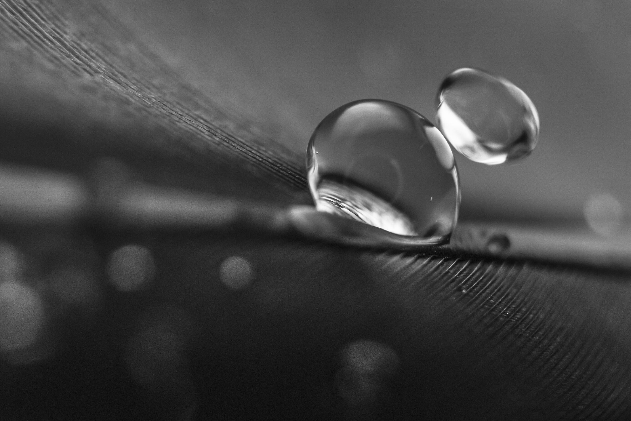 Kiss between drops