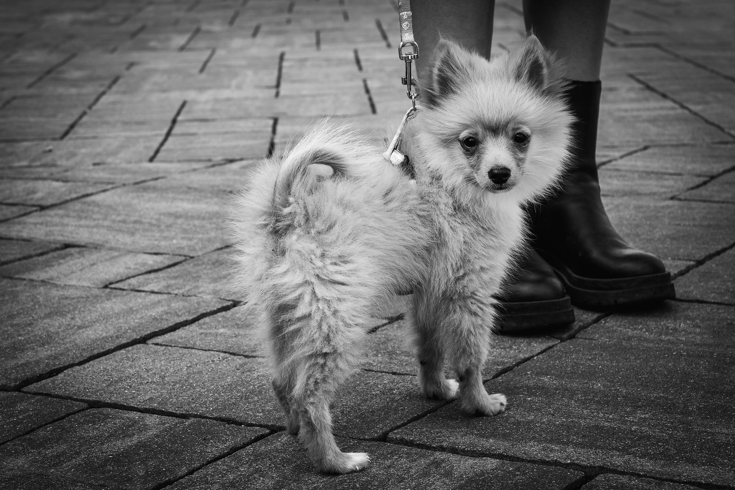 A nice friend