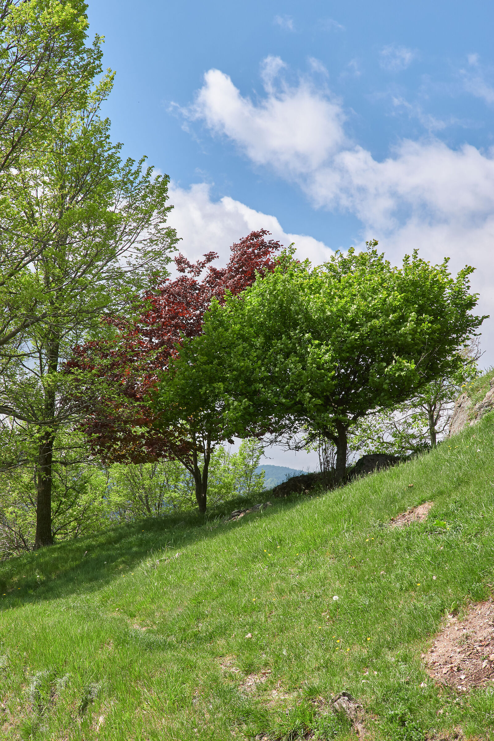 With the use of blue, Impressionism was born