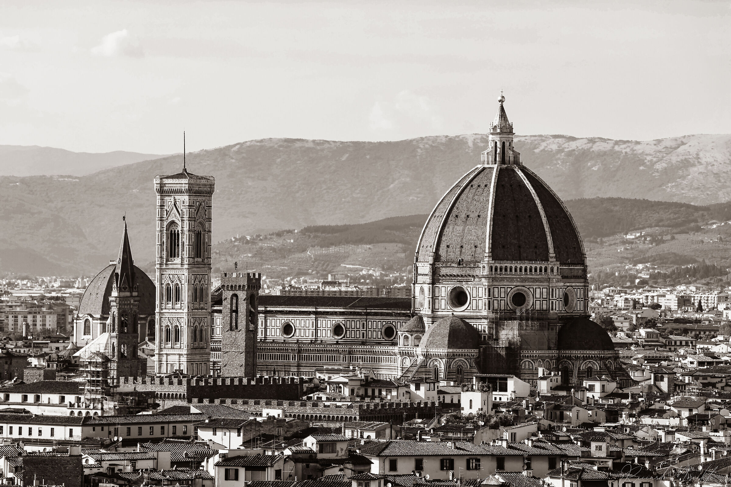 Santa Maria del Fiore, seppia.
