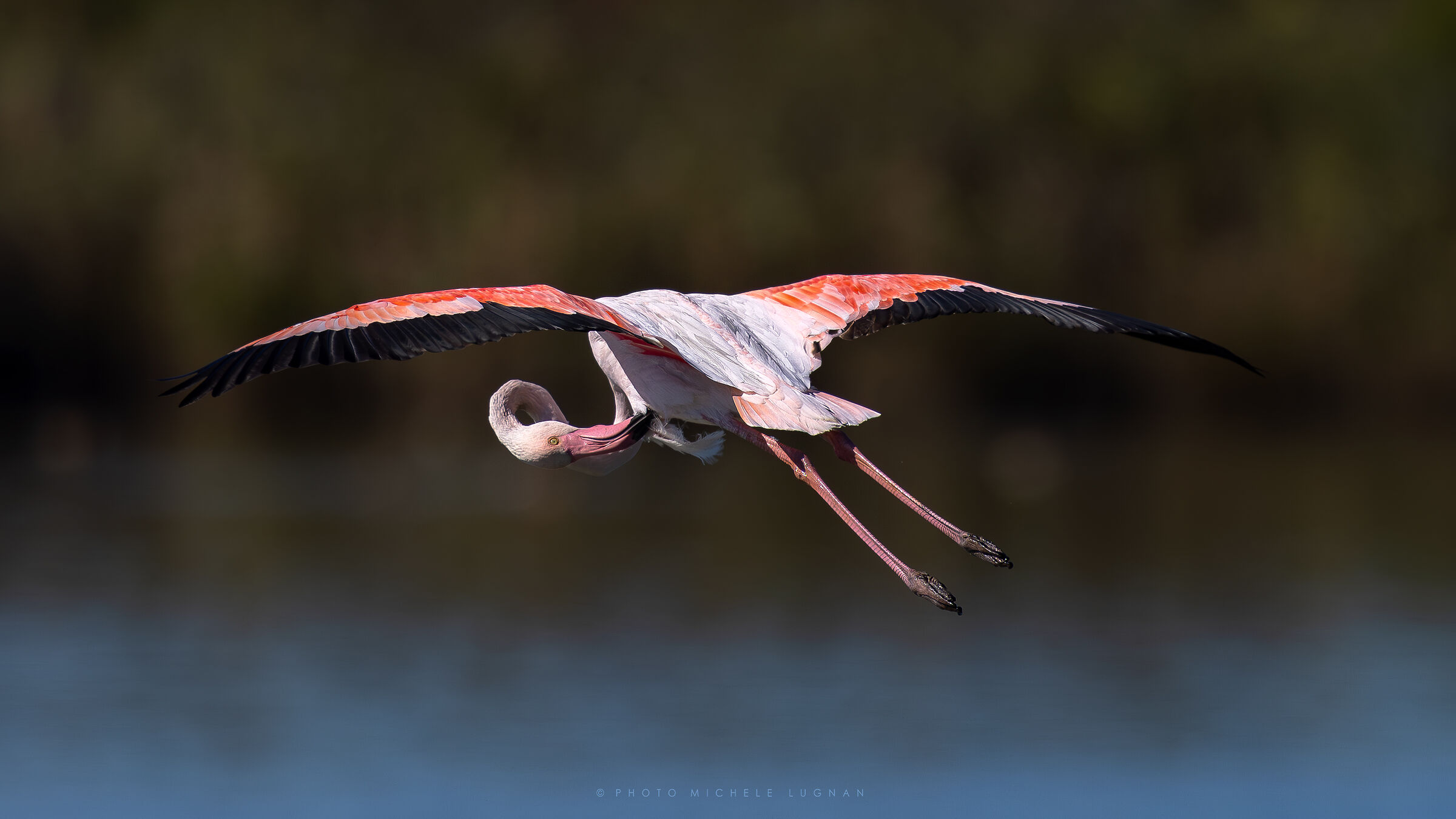 In-flight maintenance