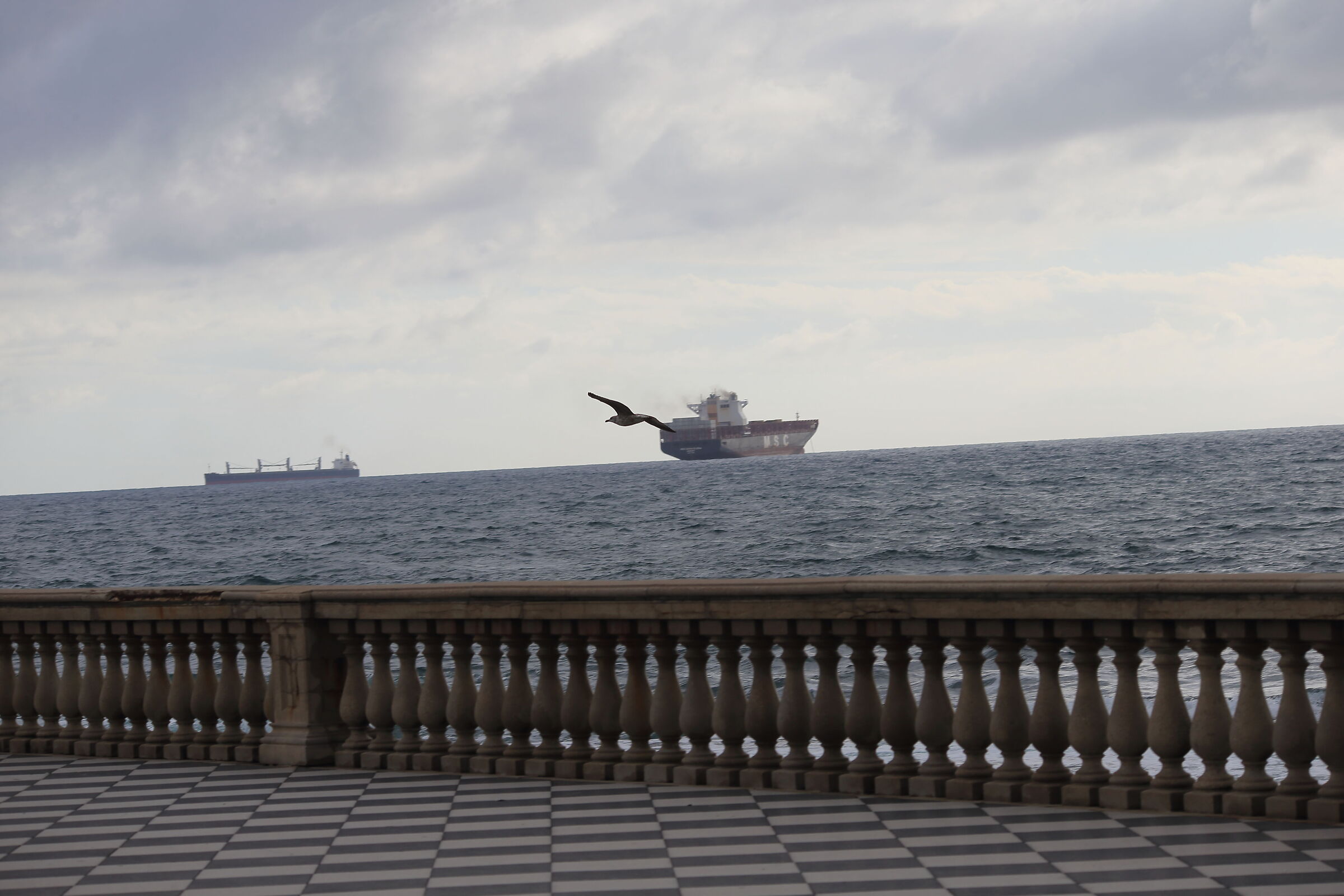 terrazza sul mare con gabbiano e navi