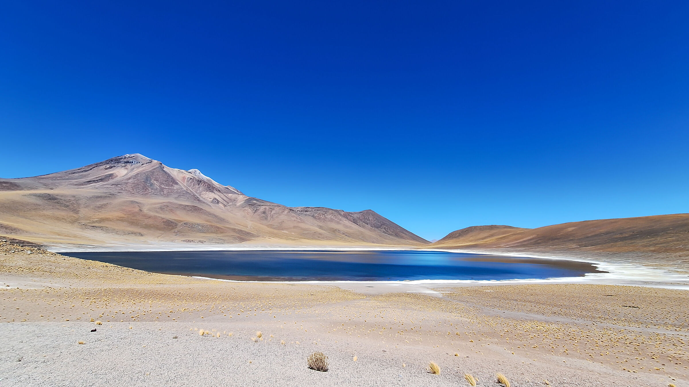 La laguna altiplanica Miniques (Cile)