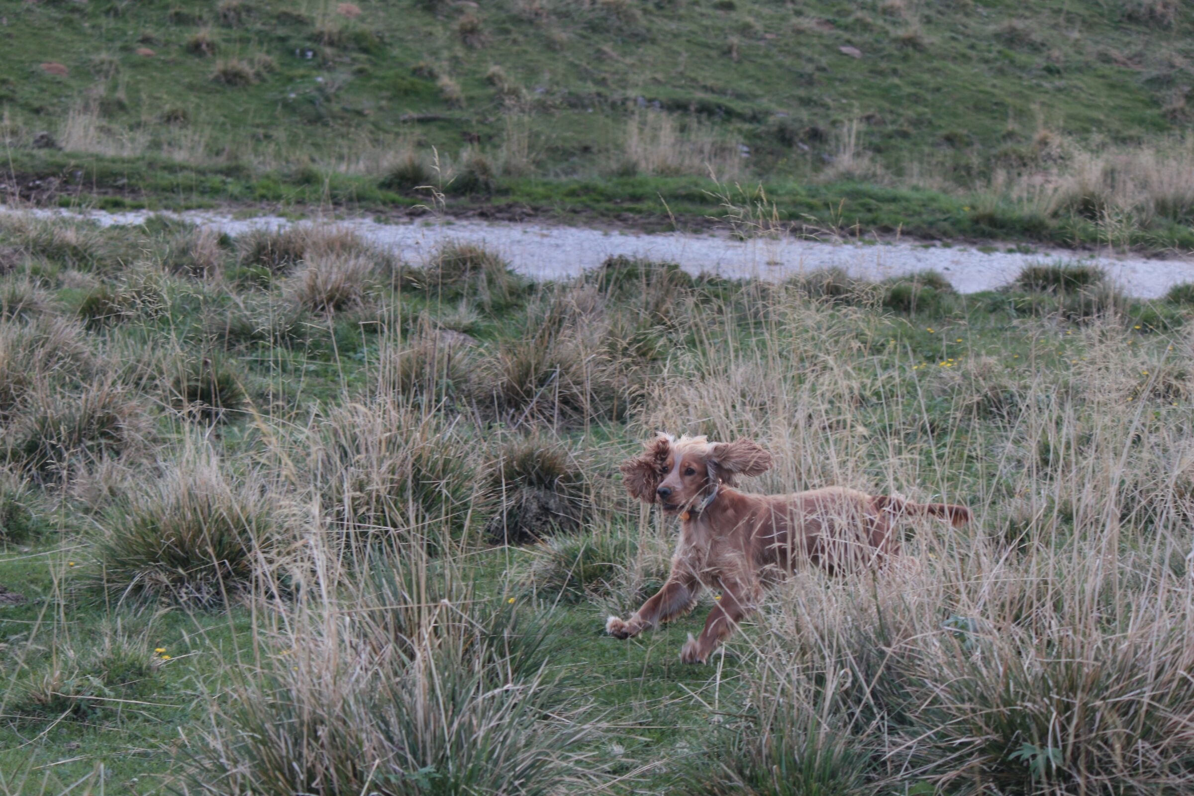 run!