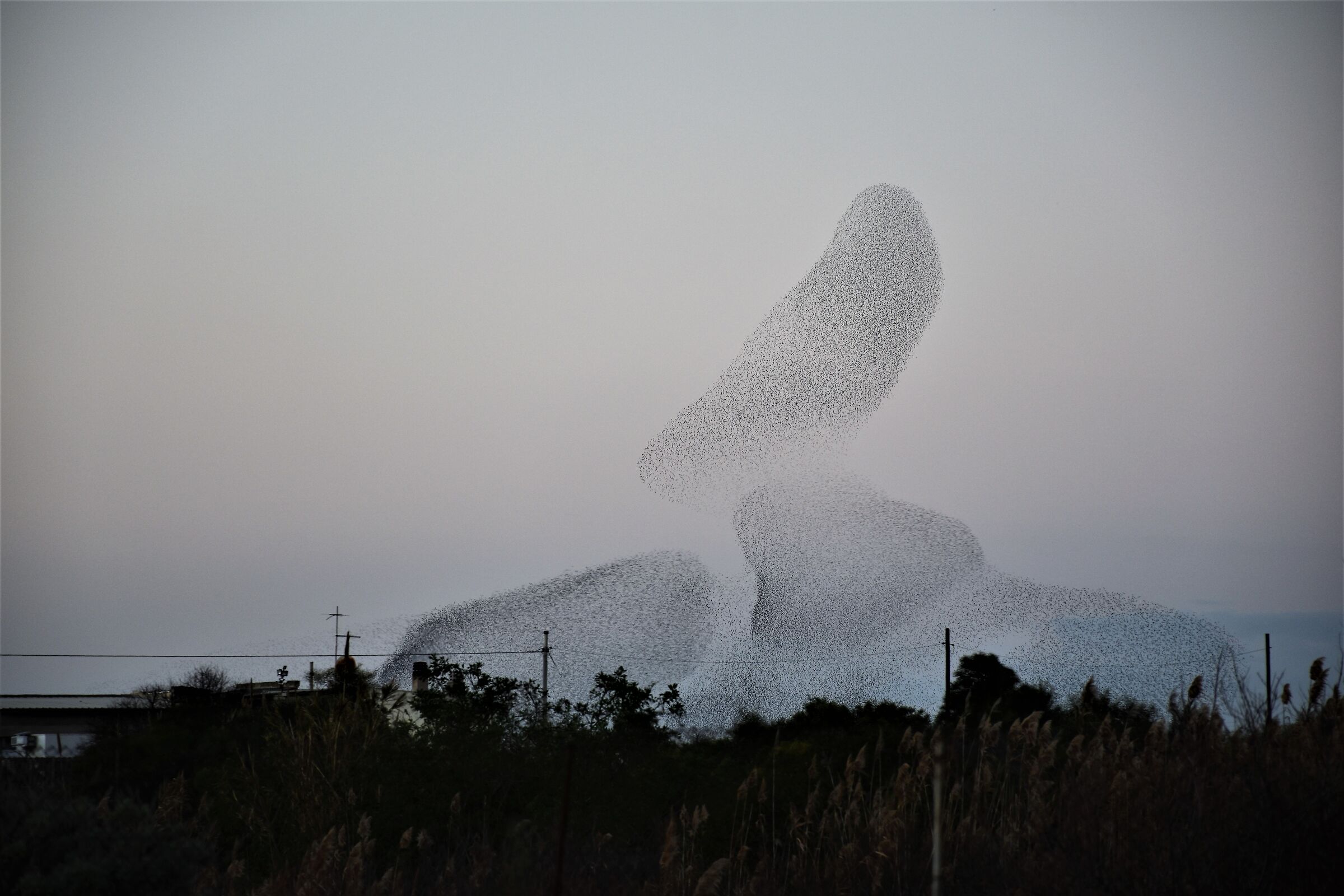 Anche i giganti cadono...