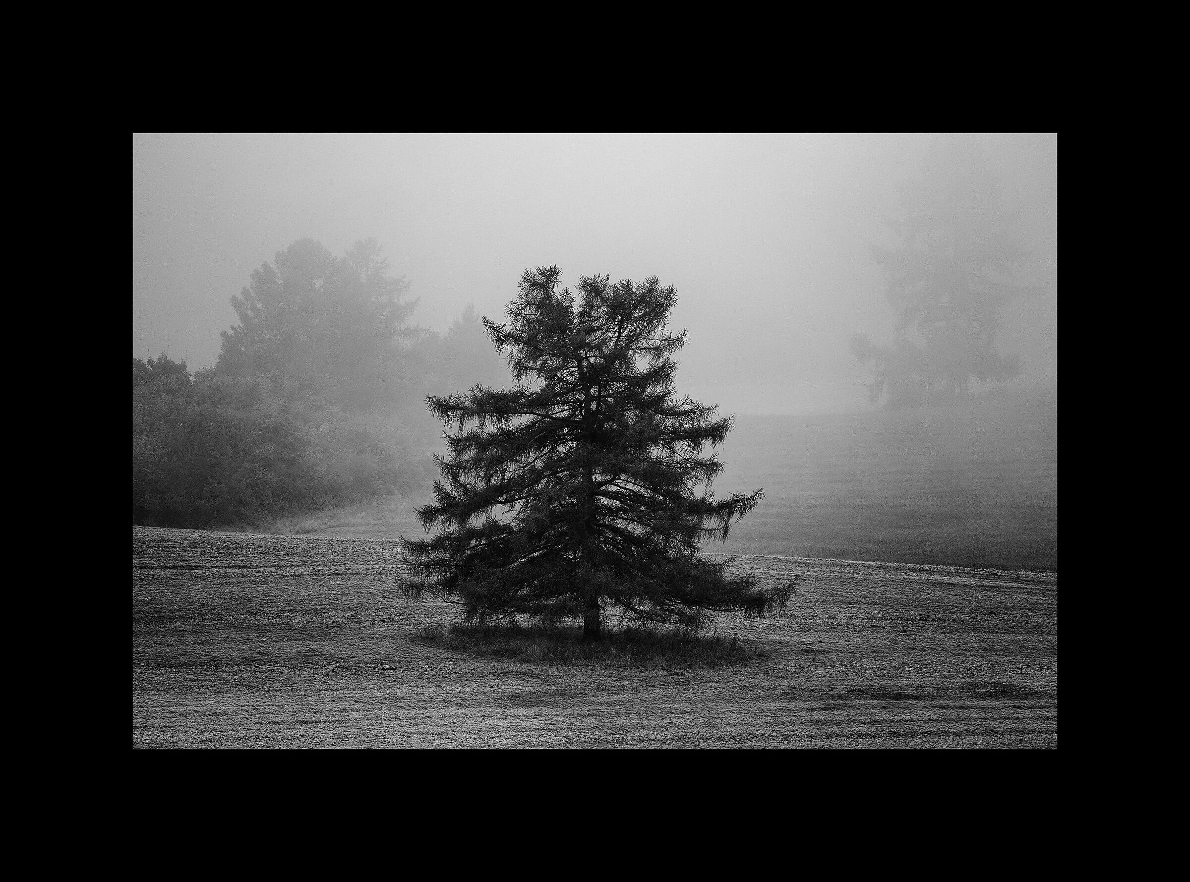 È tempo di nebbia