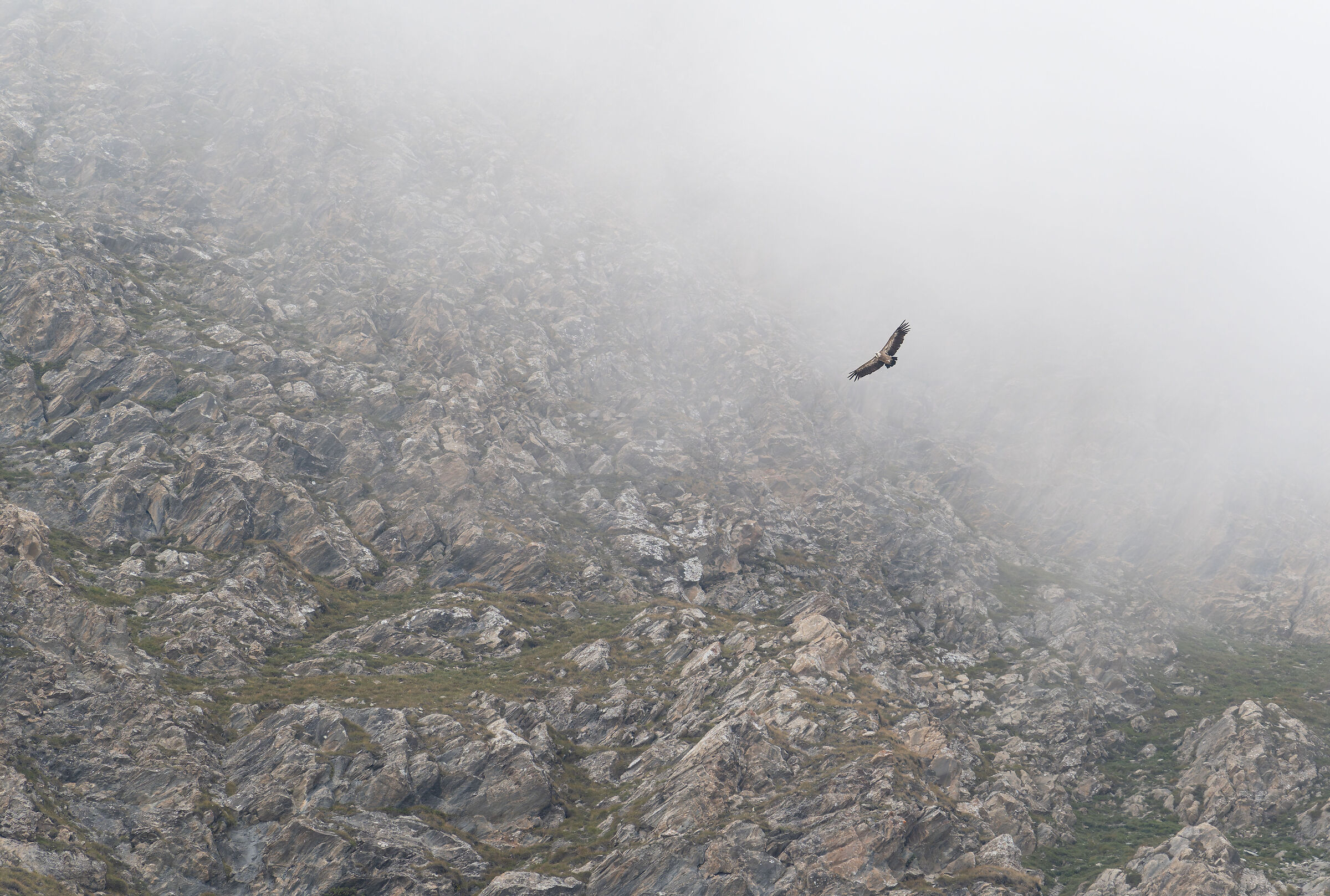 Before disappearing into the clouds