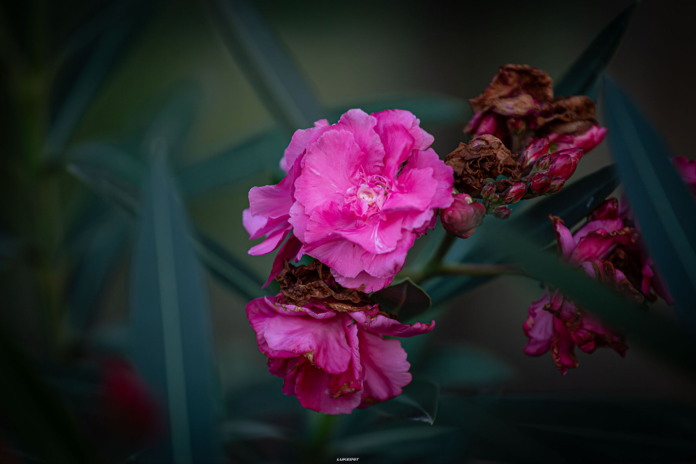 Untitled Photo