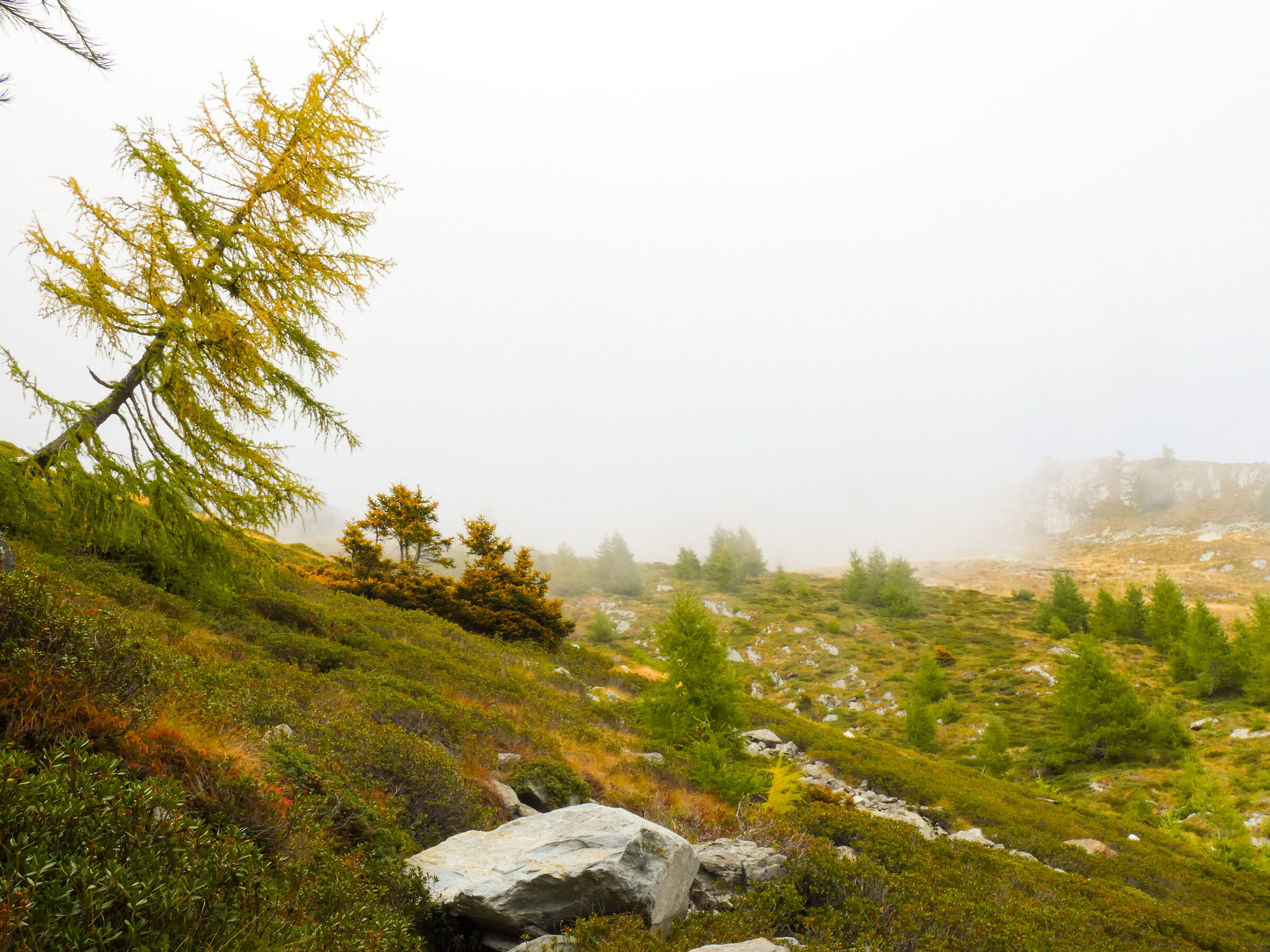 Muntirol