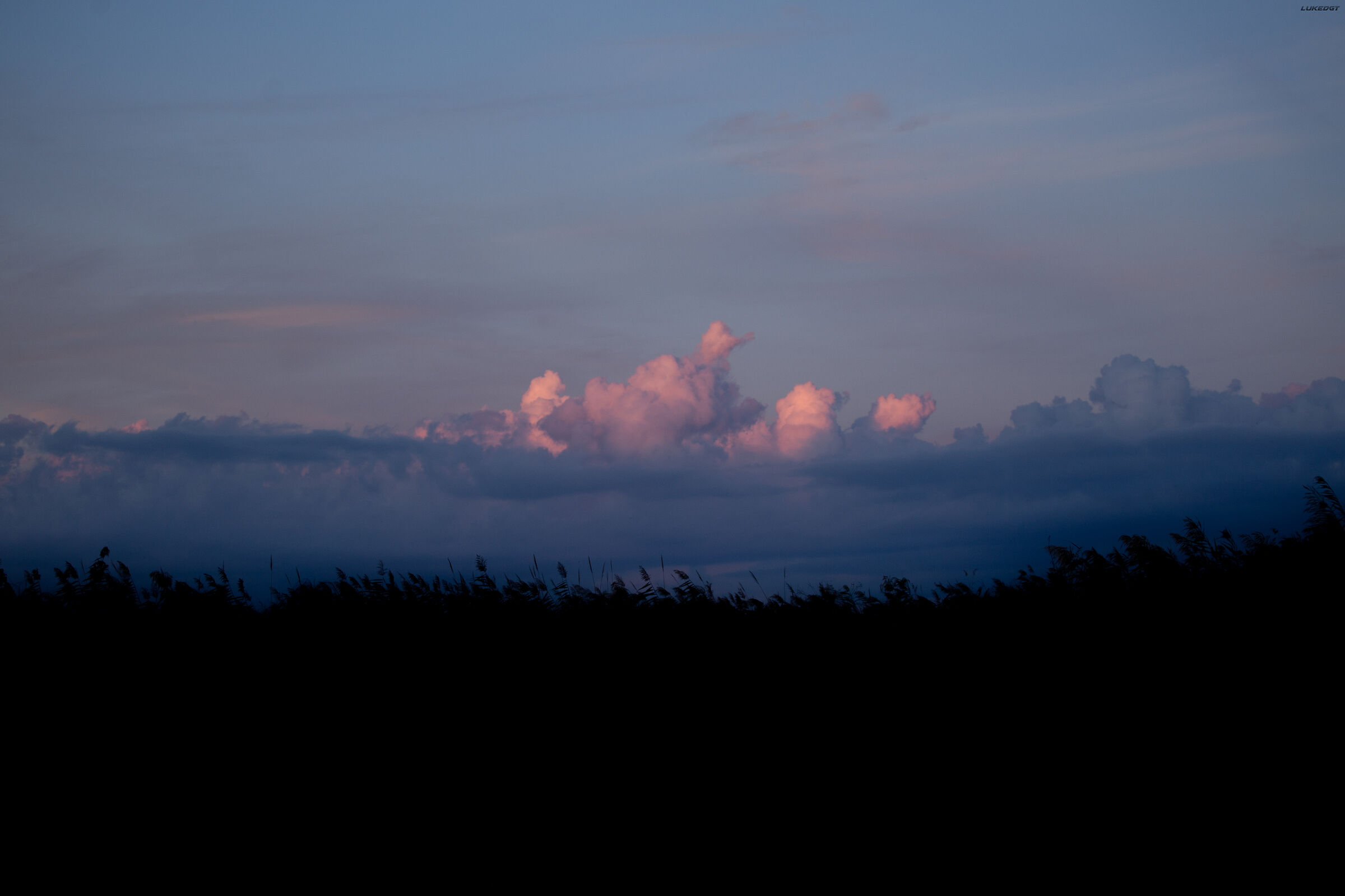 Rose sunset
