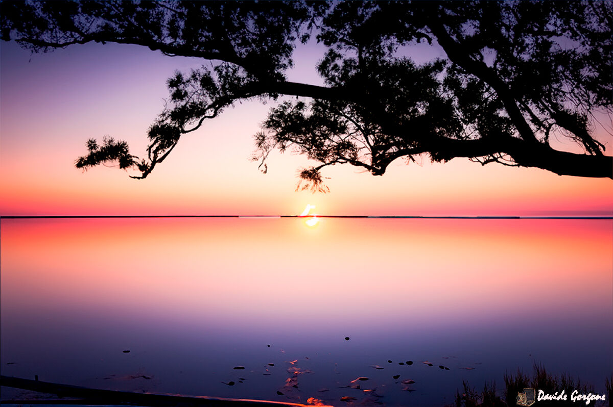 Flat calm at dawn - Marche