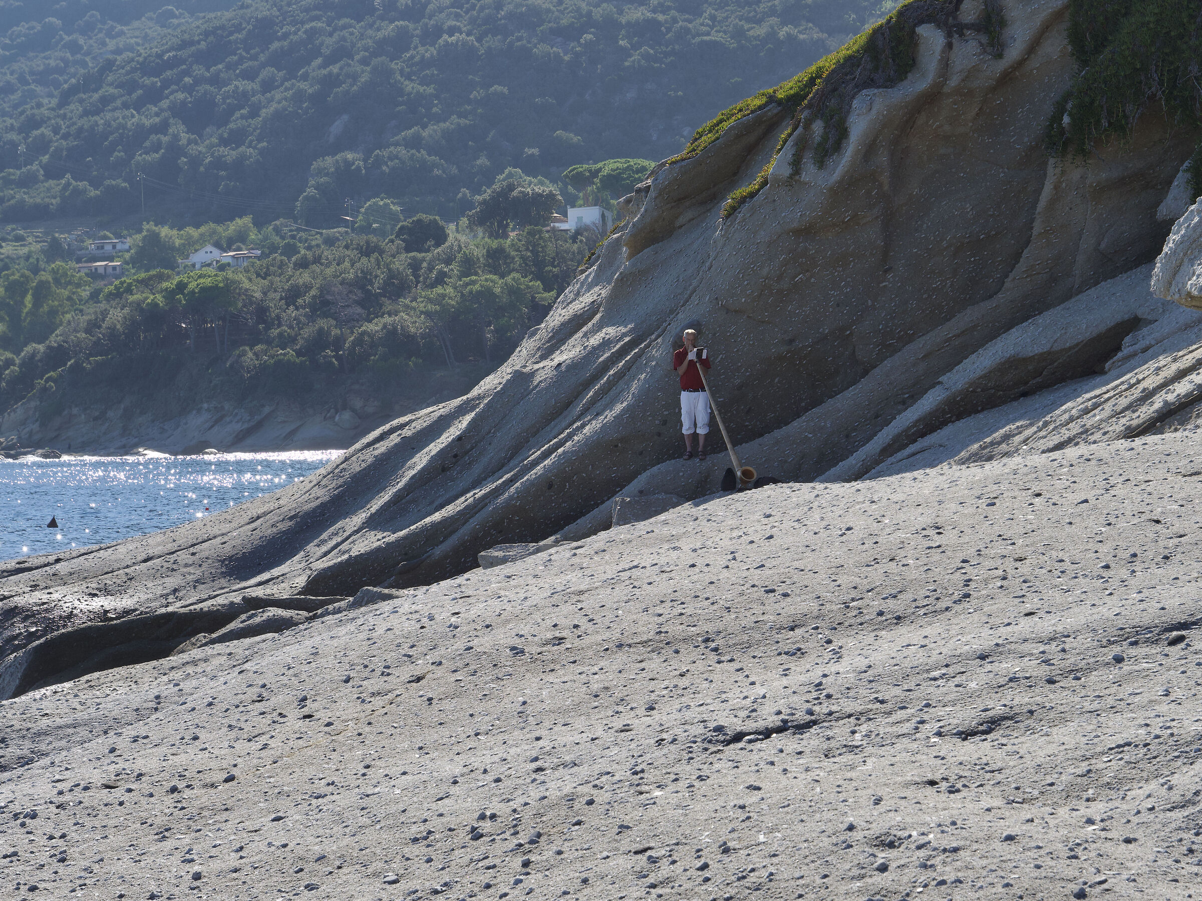 Find the Intruder (1)