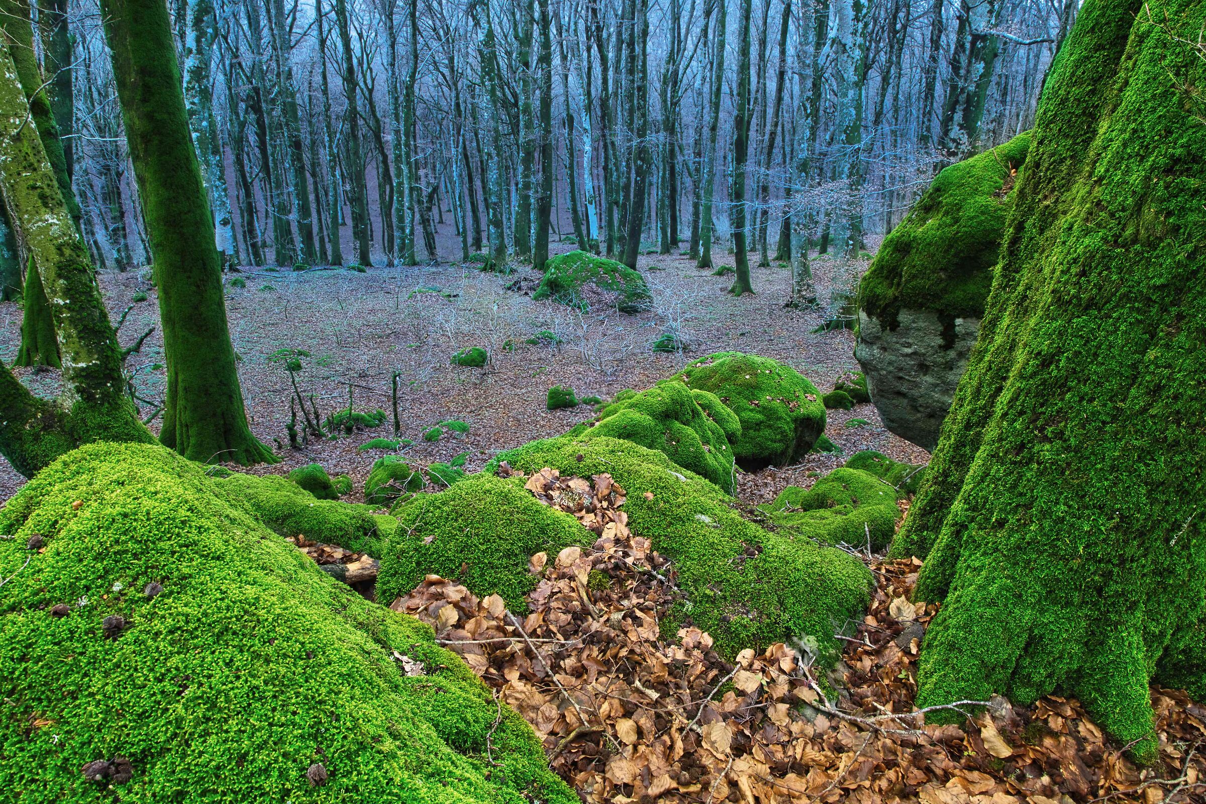 Looking into the unknown