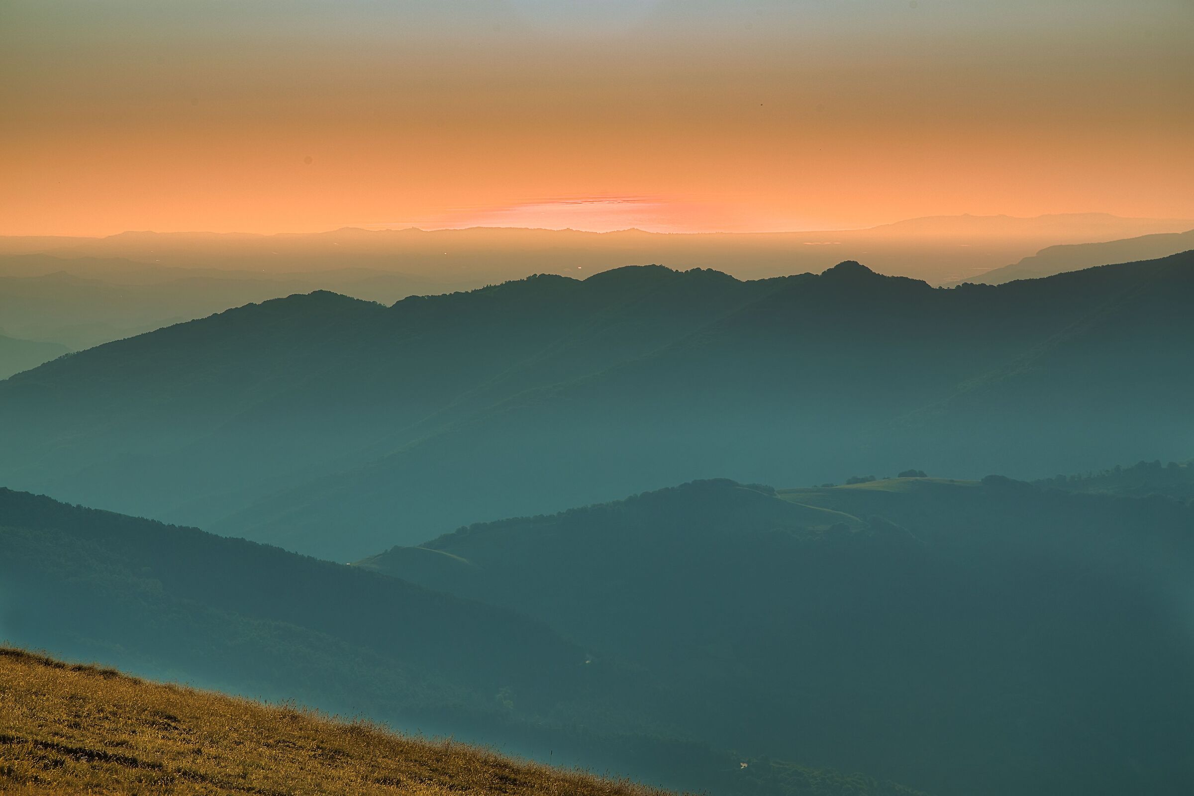 "I light up immensely"