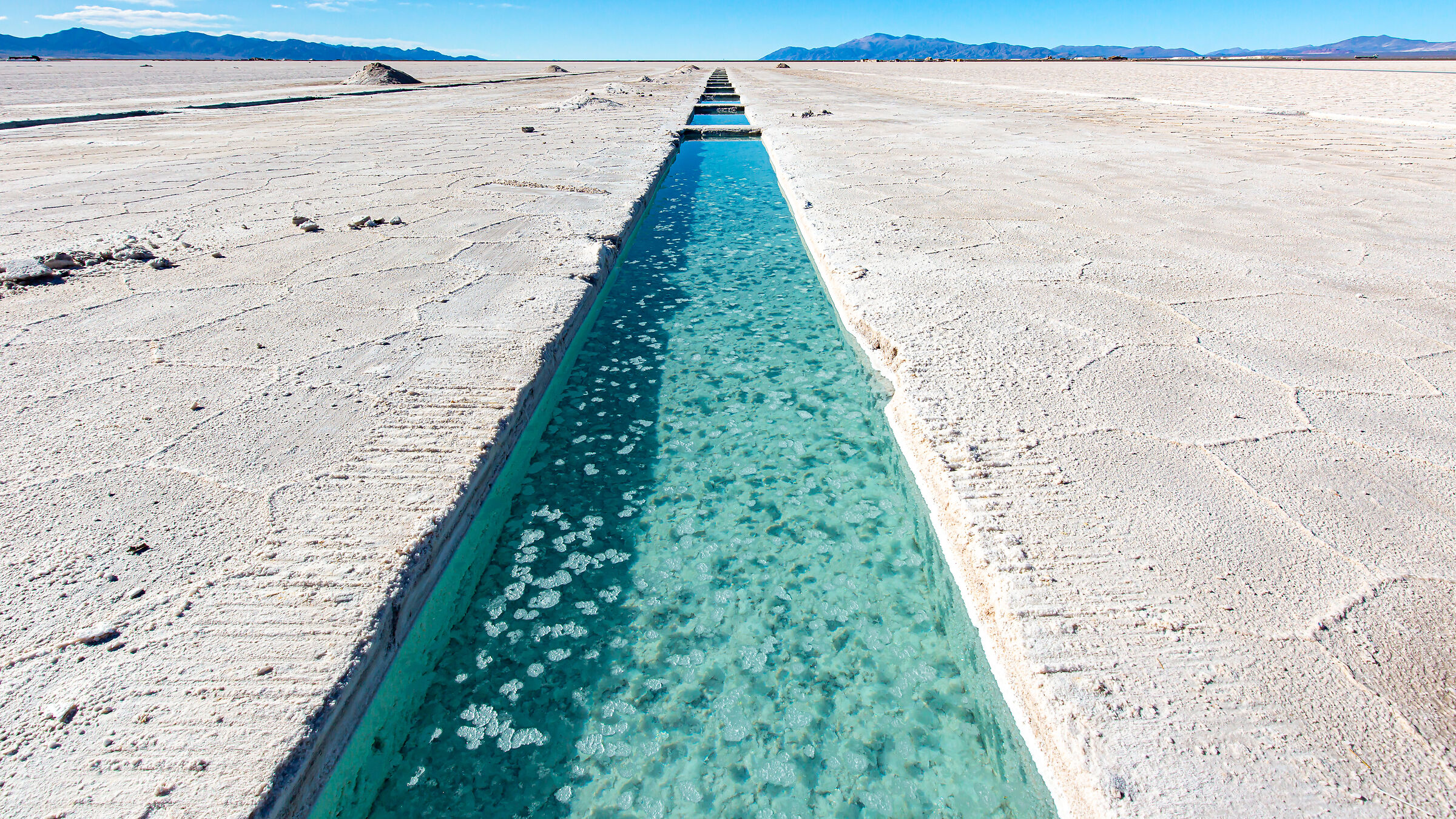 The "cultivation" of salar