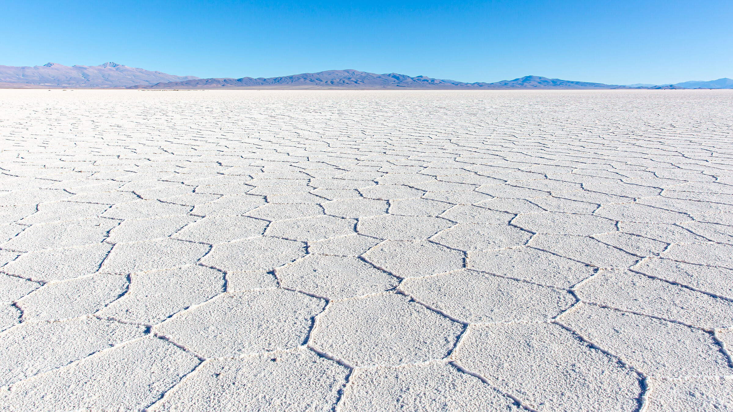 The salar