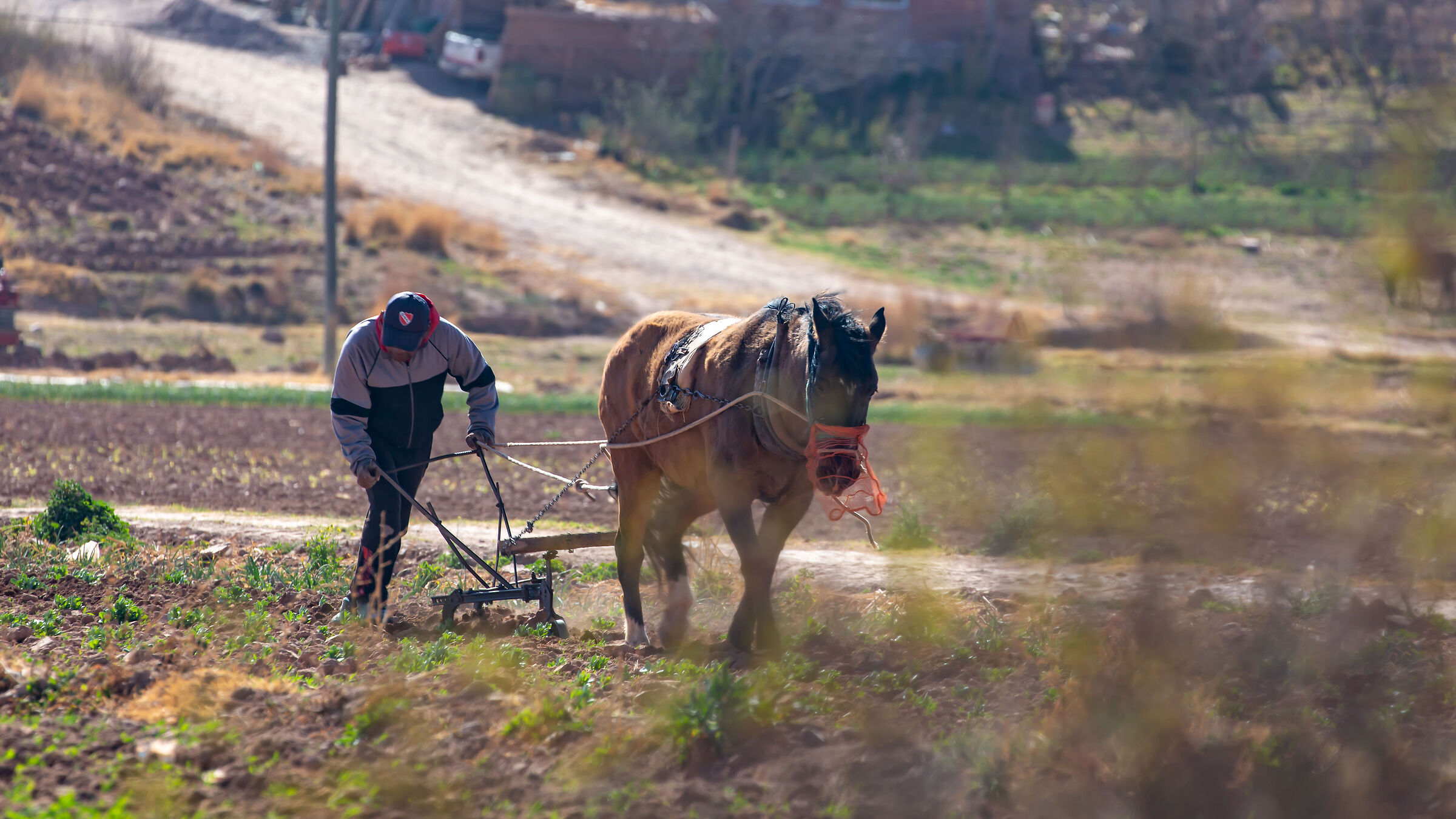 Agricoltura sostenibile