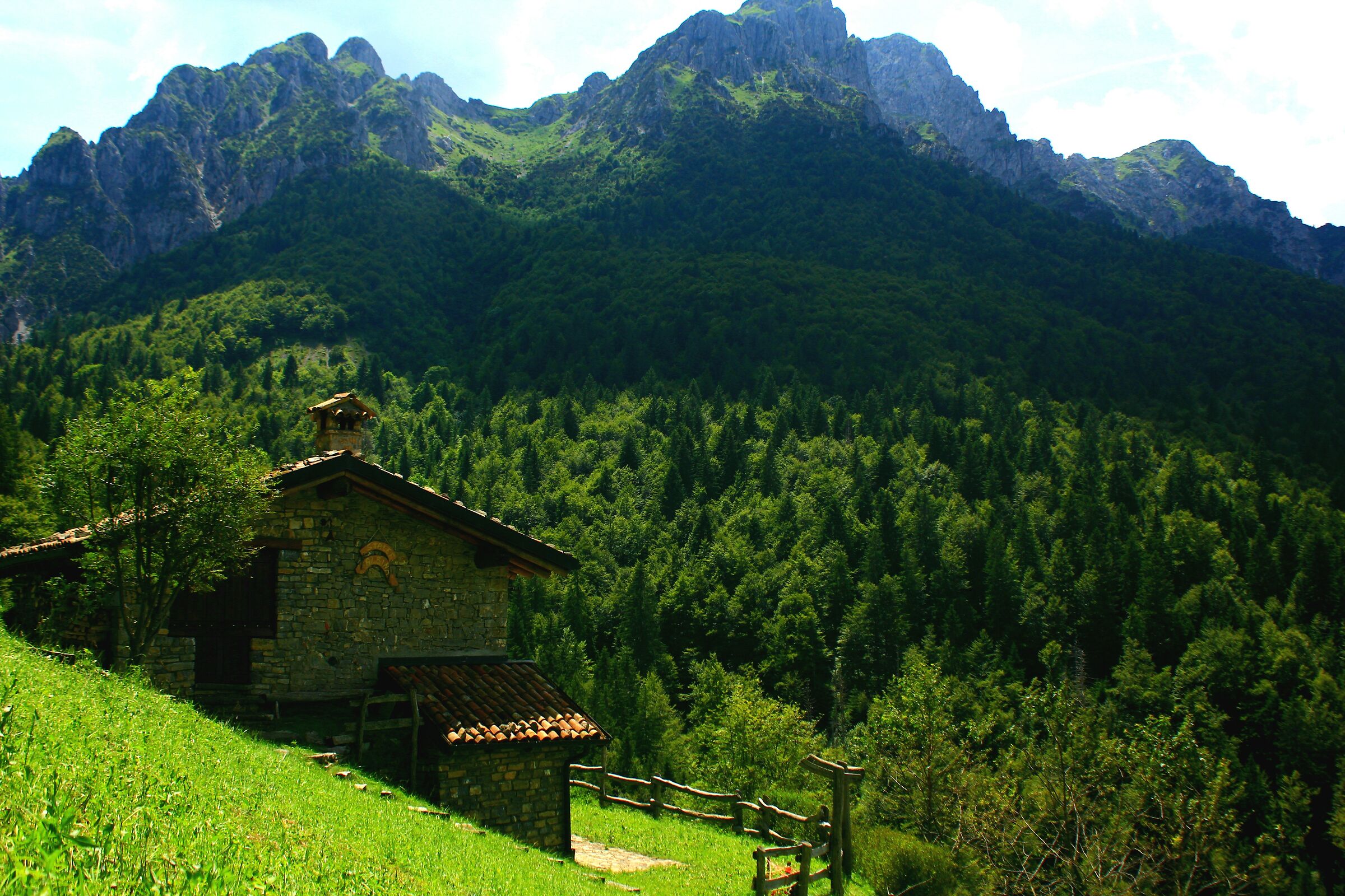Forest hut on the slope of the mountain