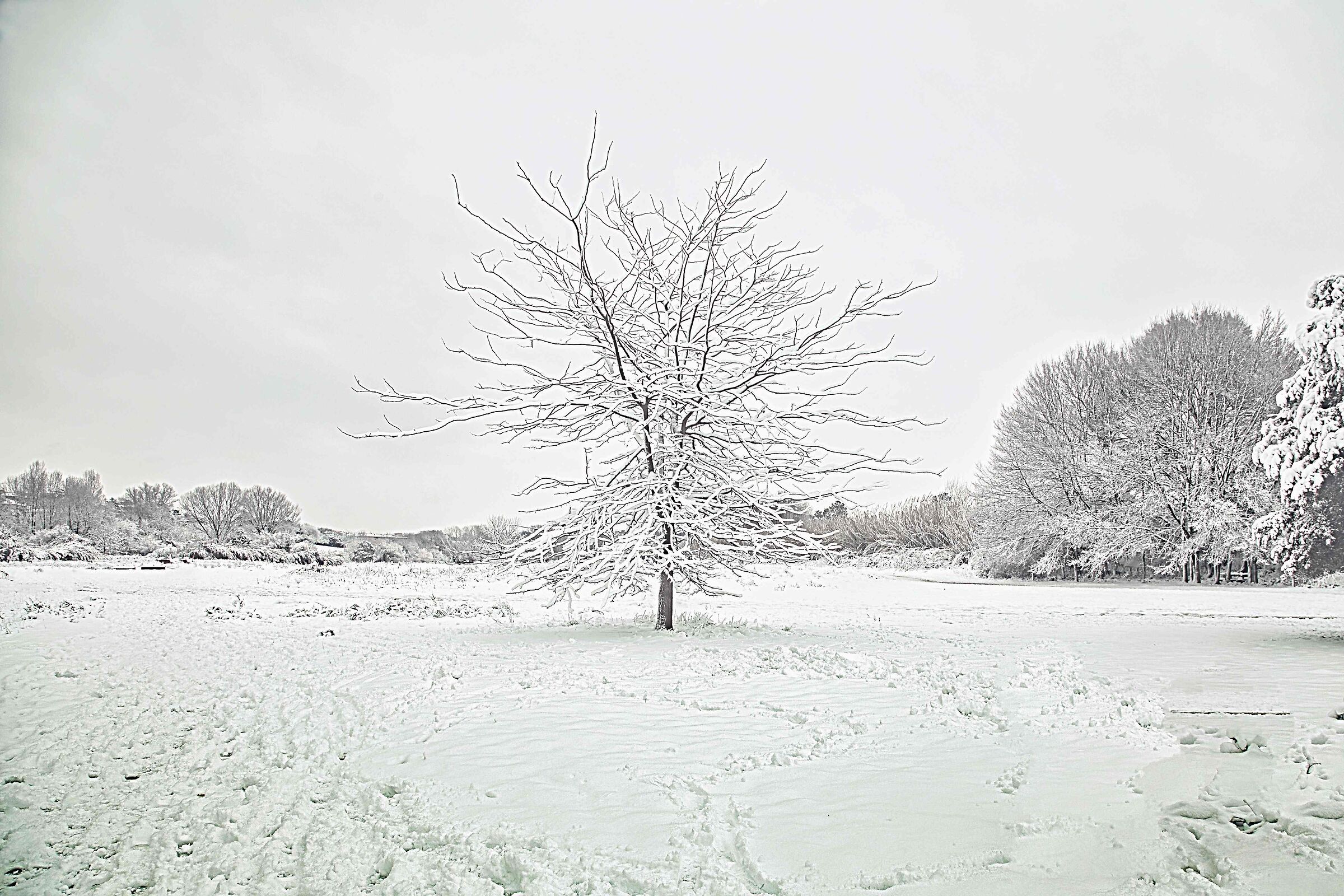 Solitude in Caffarella