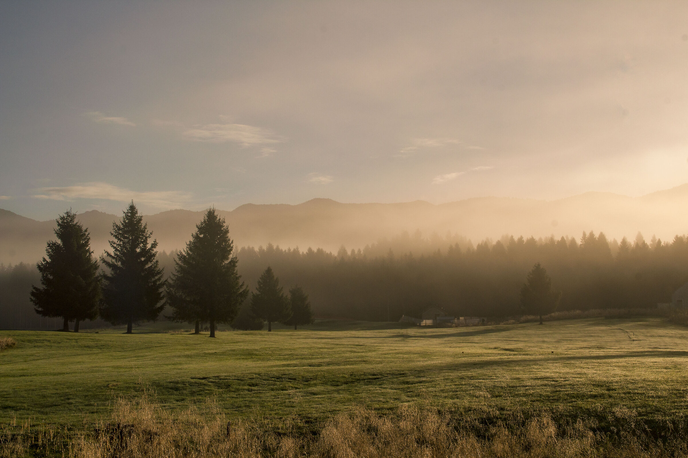 Autunno in Cansiglio