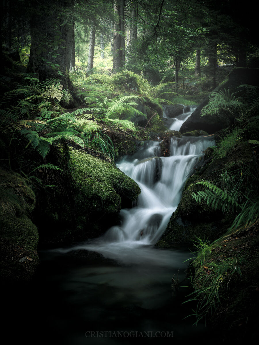 Late summer green