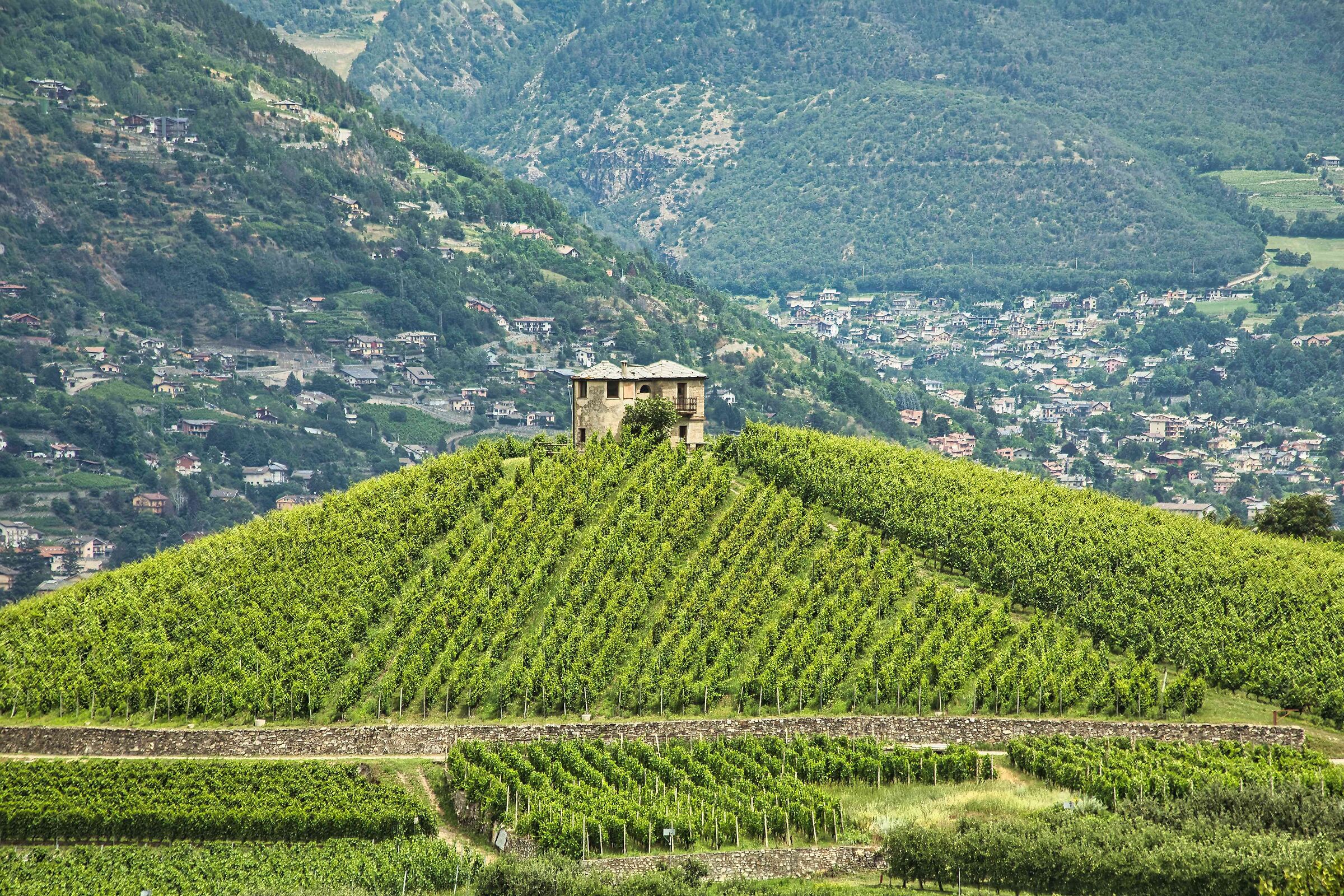 Suggestive vineyard 'Les Crêtes' of Aymavilles