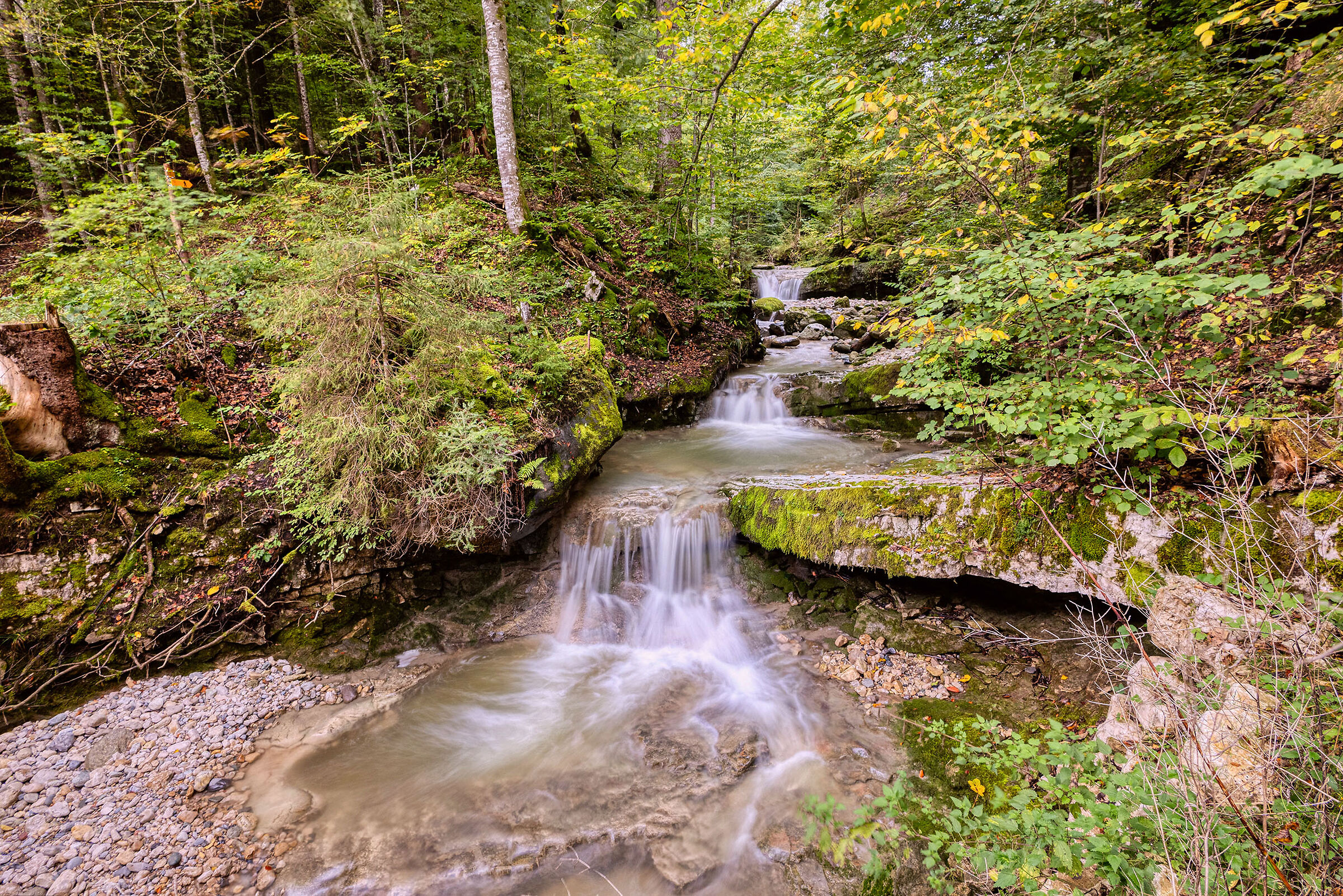 The first colors of autumn, Covatannaz (VD), Switzerland