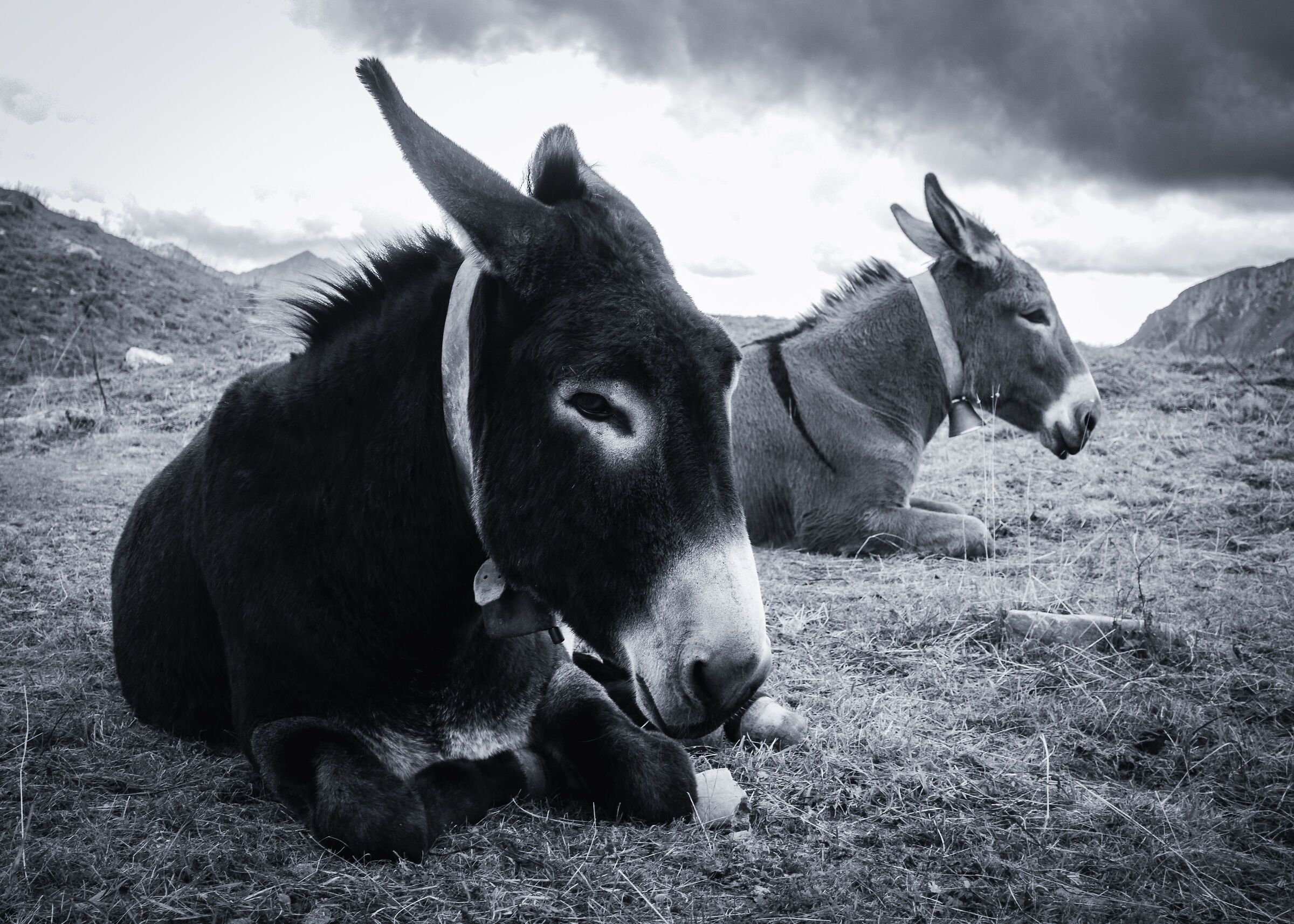 Relaxation at high altitude