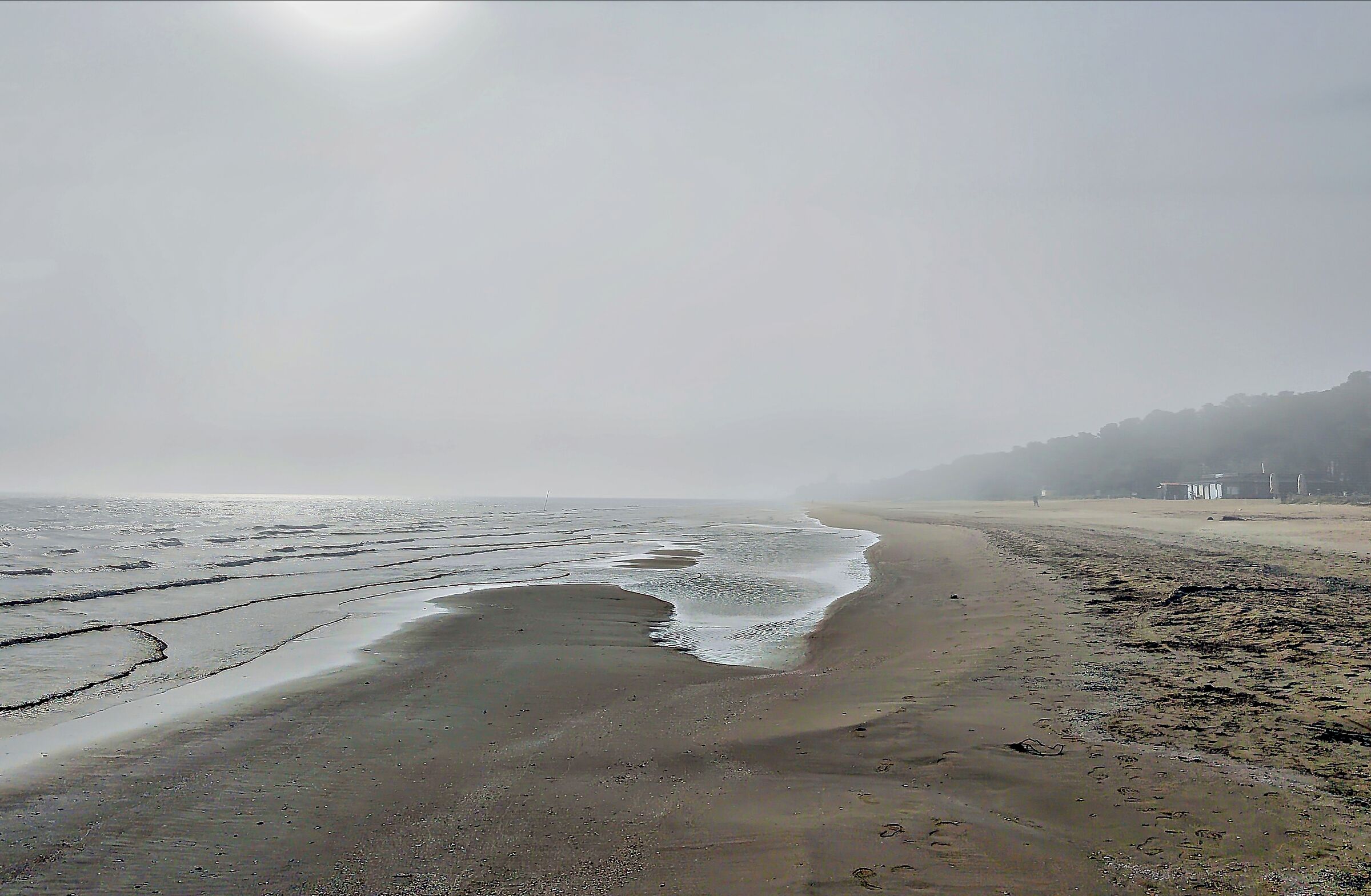 Nebbia improvvisa