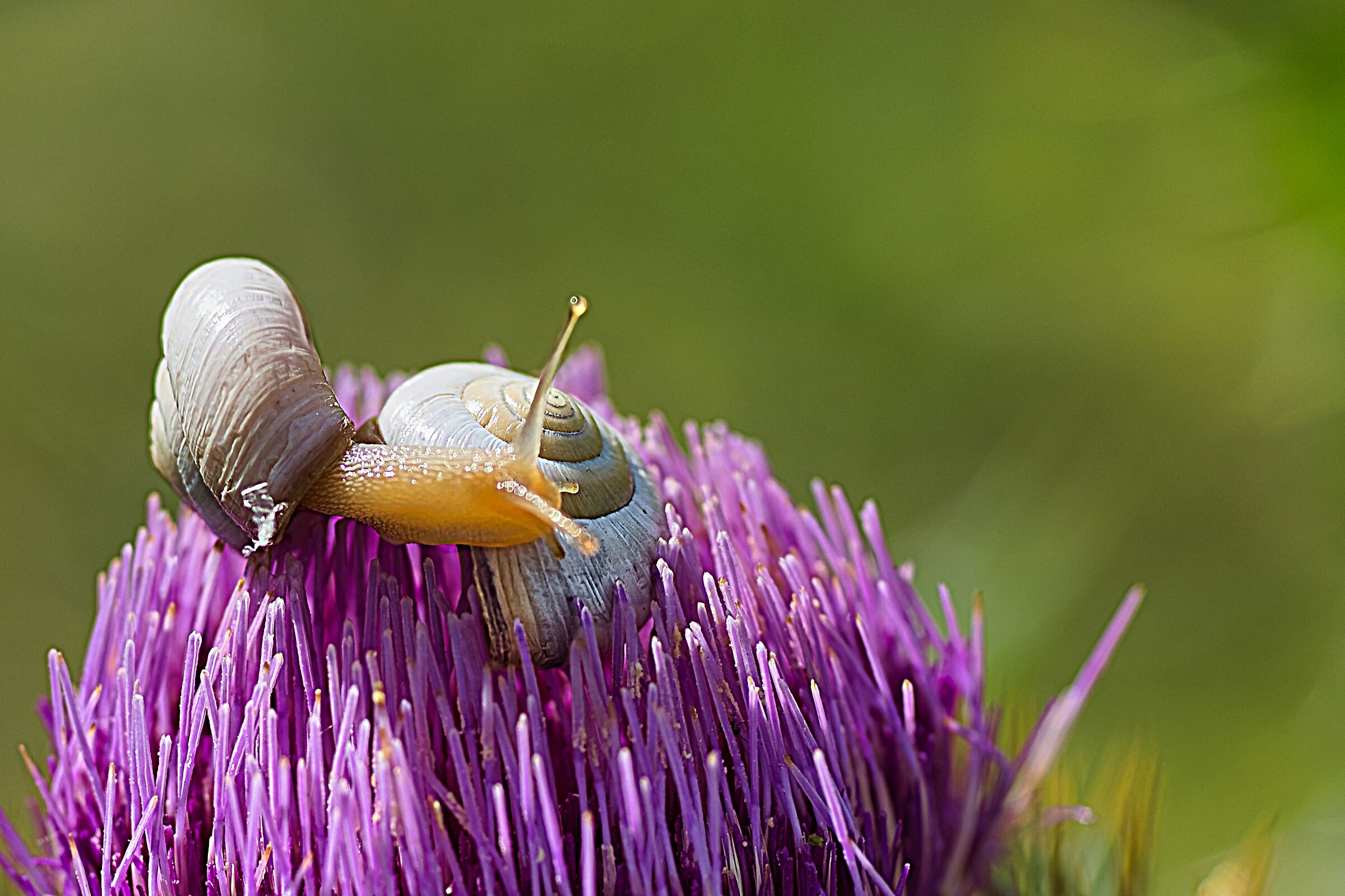 .. Lazy alarm clock and time to go...