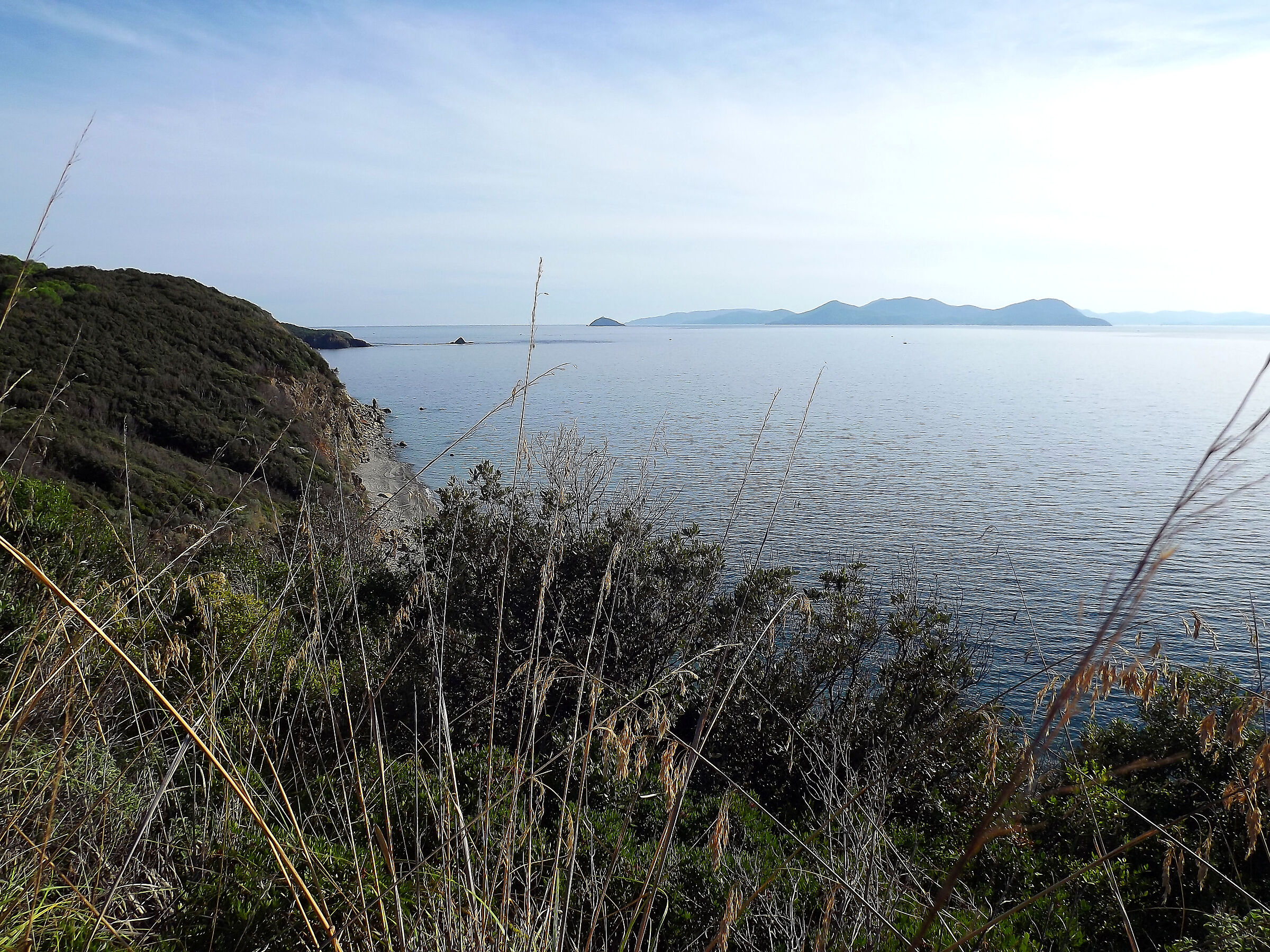 Piombino (LI)