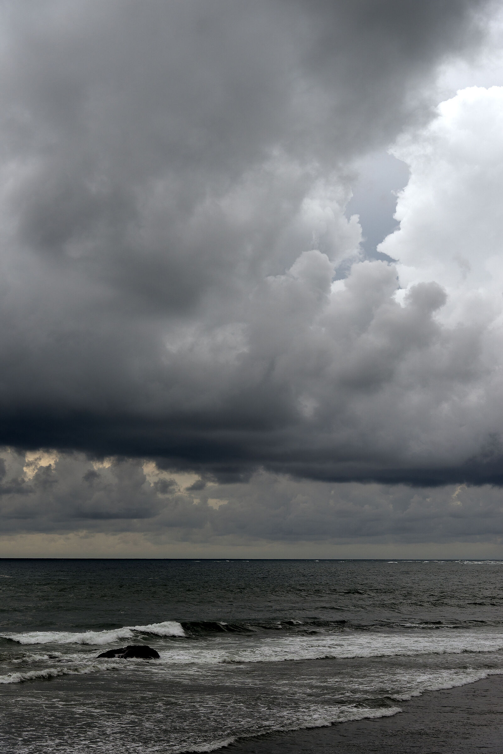 Quasi bianco e nero...