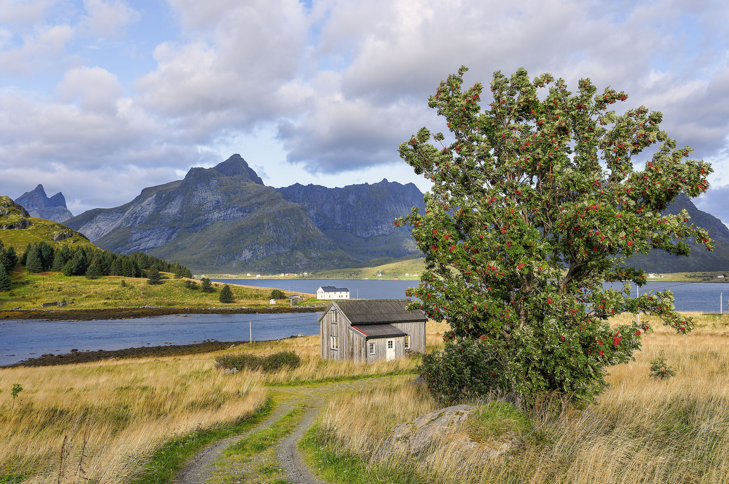 Panorami norvegesi