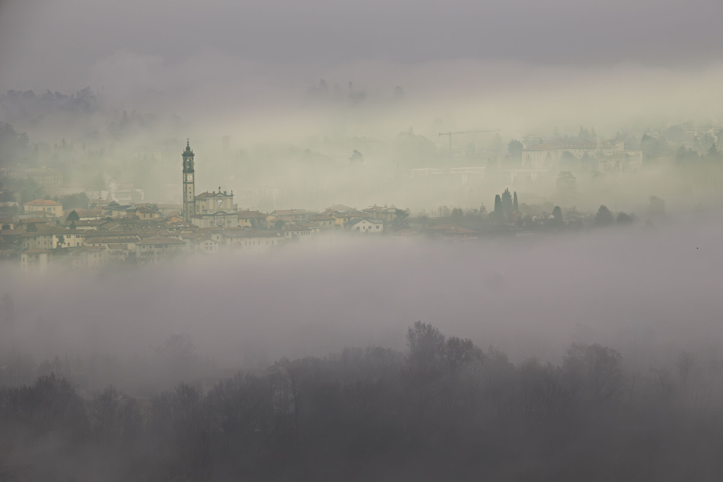 Nella nebbia