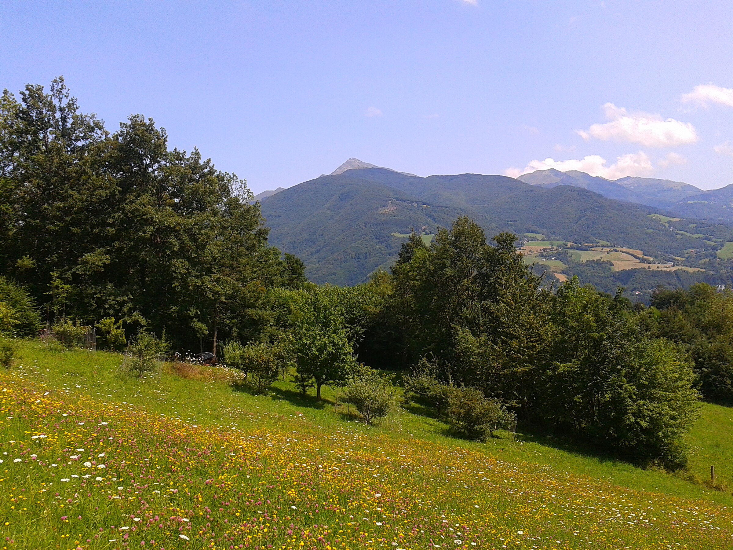 Mount Cimone