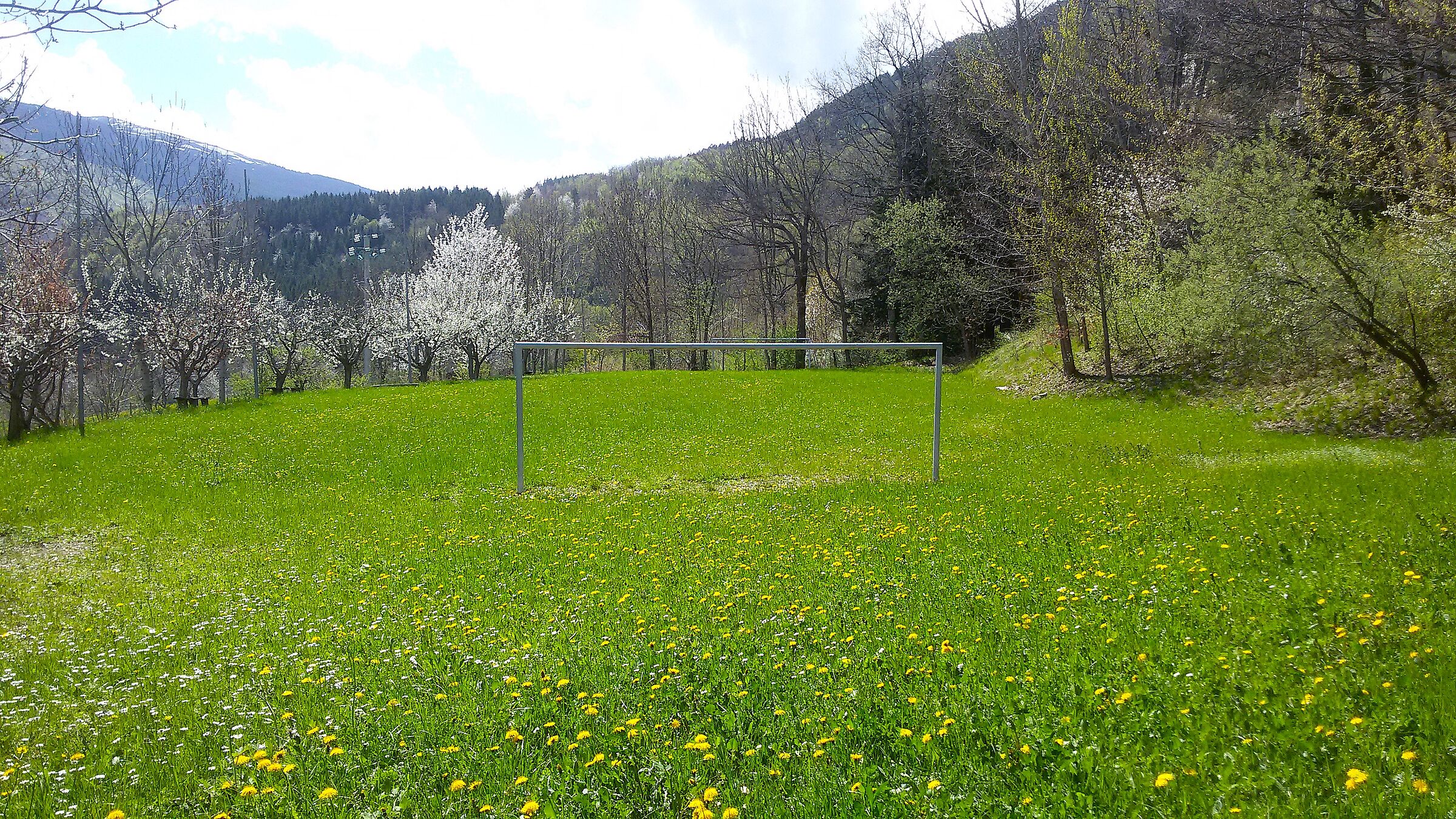 Football field... flowered!