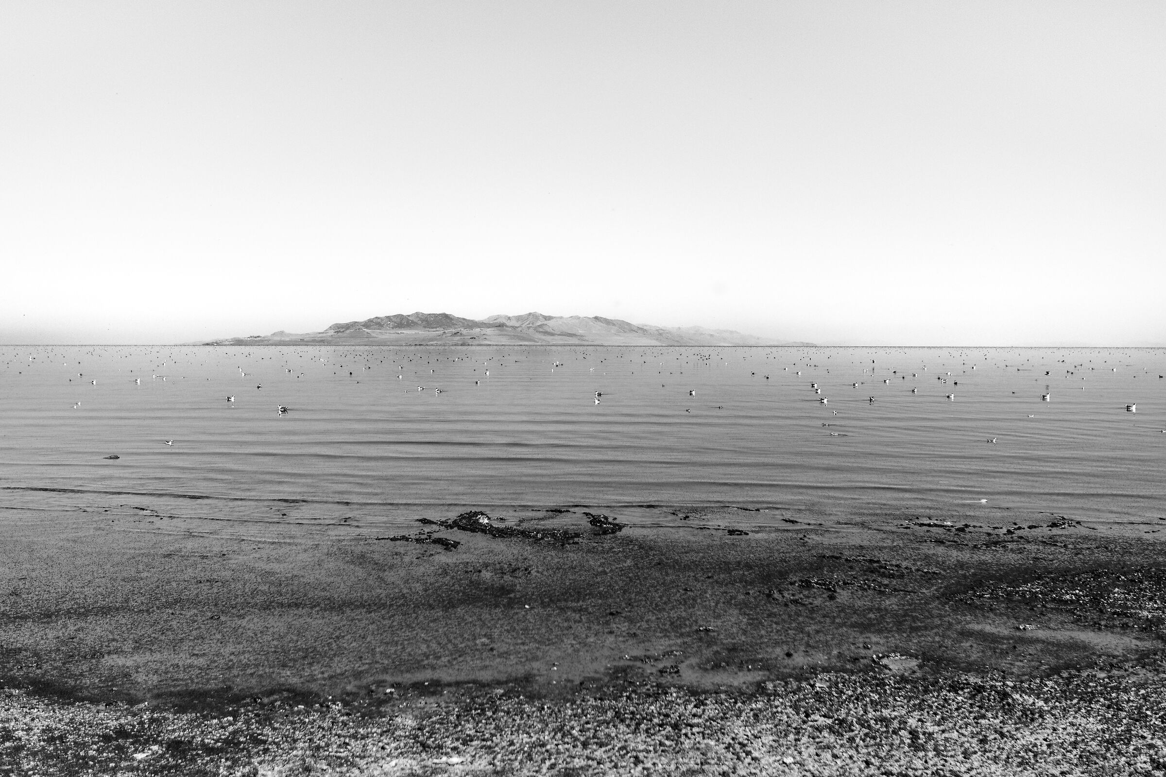 Great Salt lake - Utah