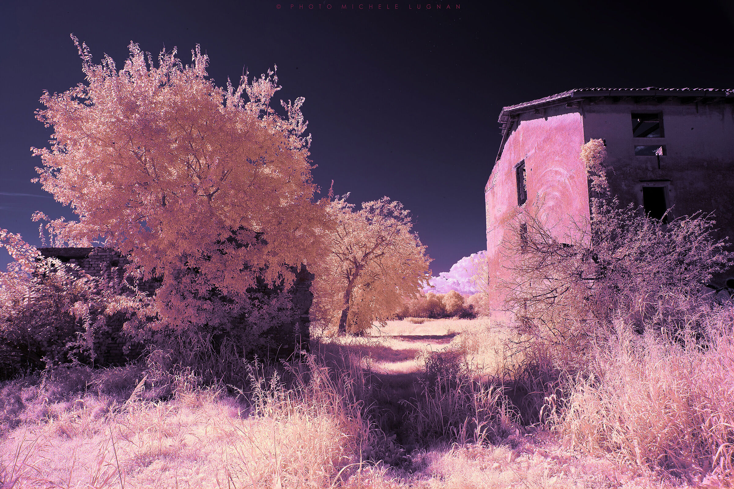 infrared