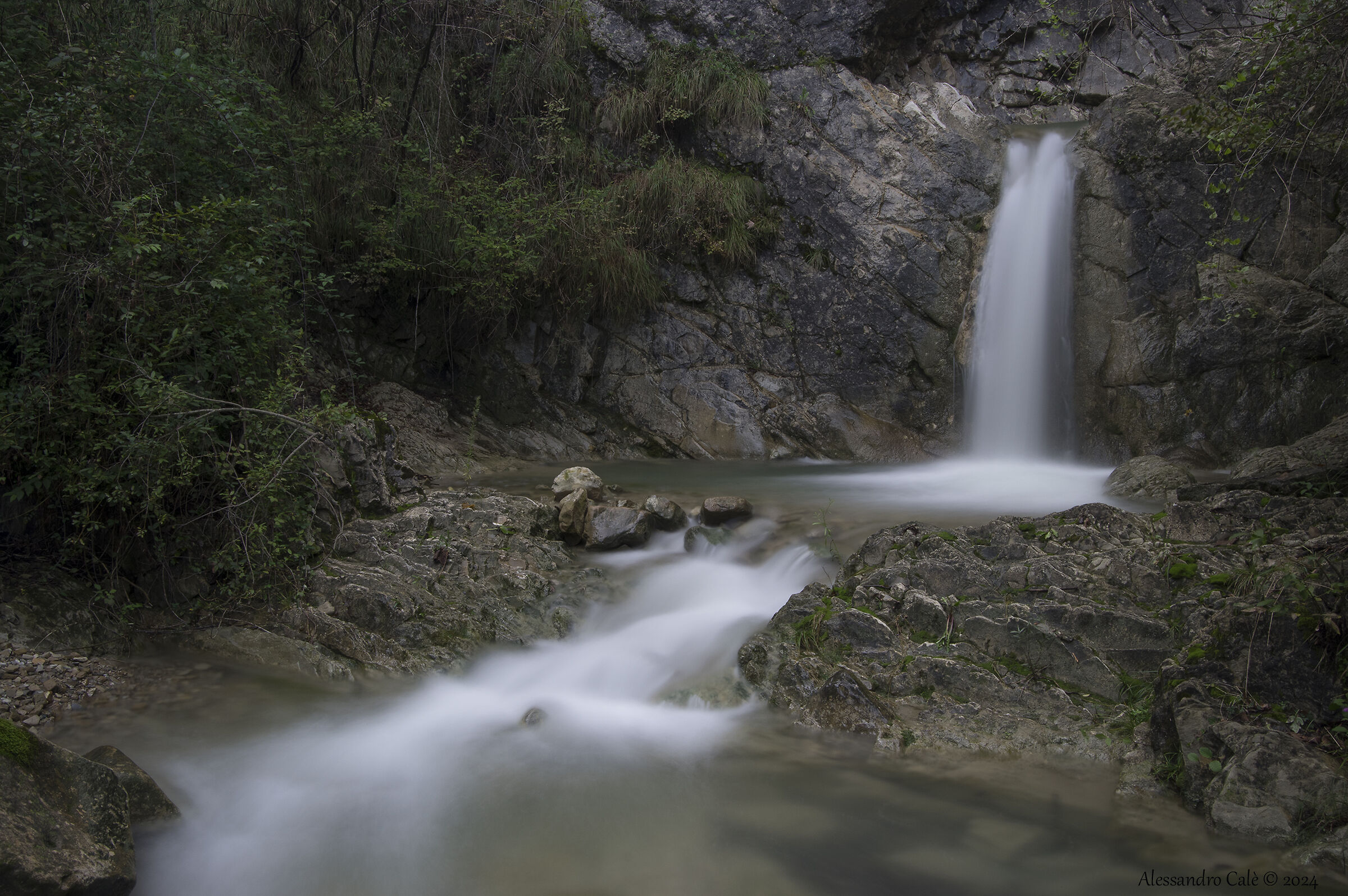 Manarin Fanna Stream 6262