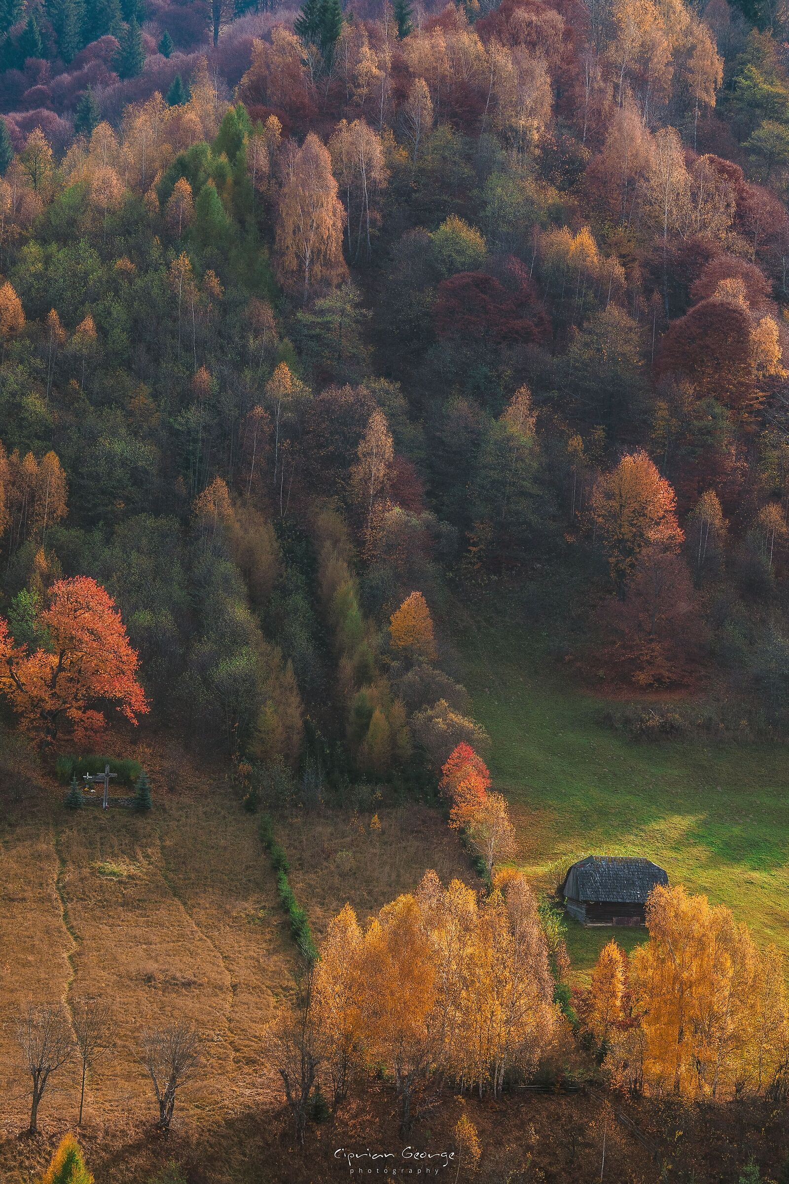 I colori dell'autunno