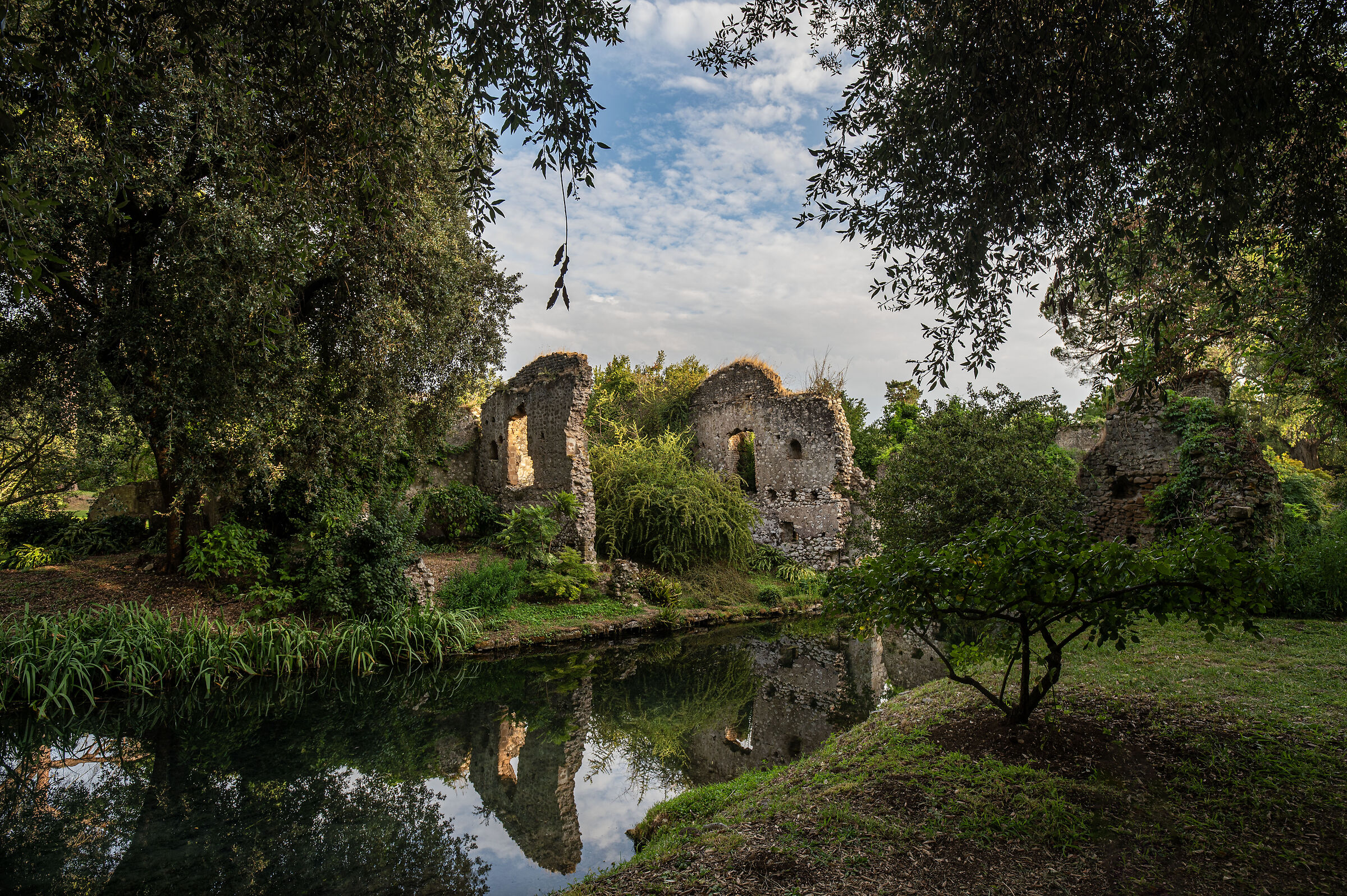 ninfa
