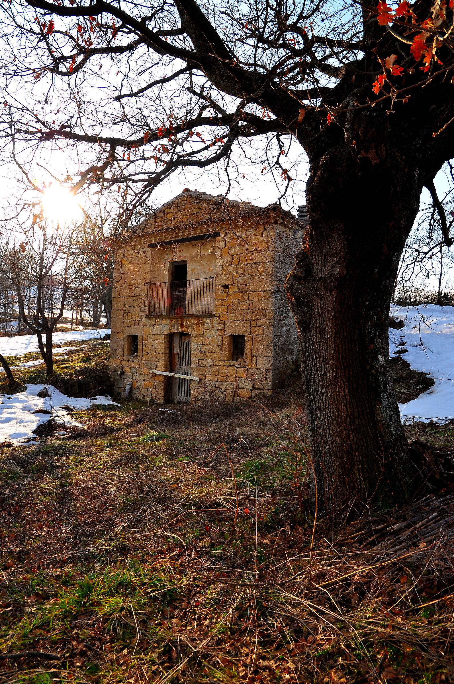 La prima neve