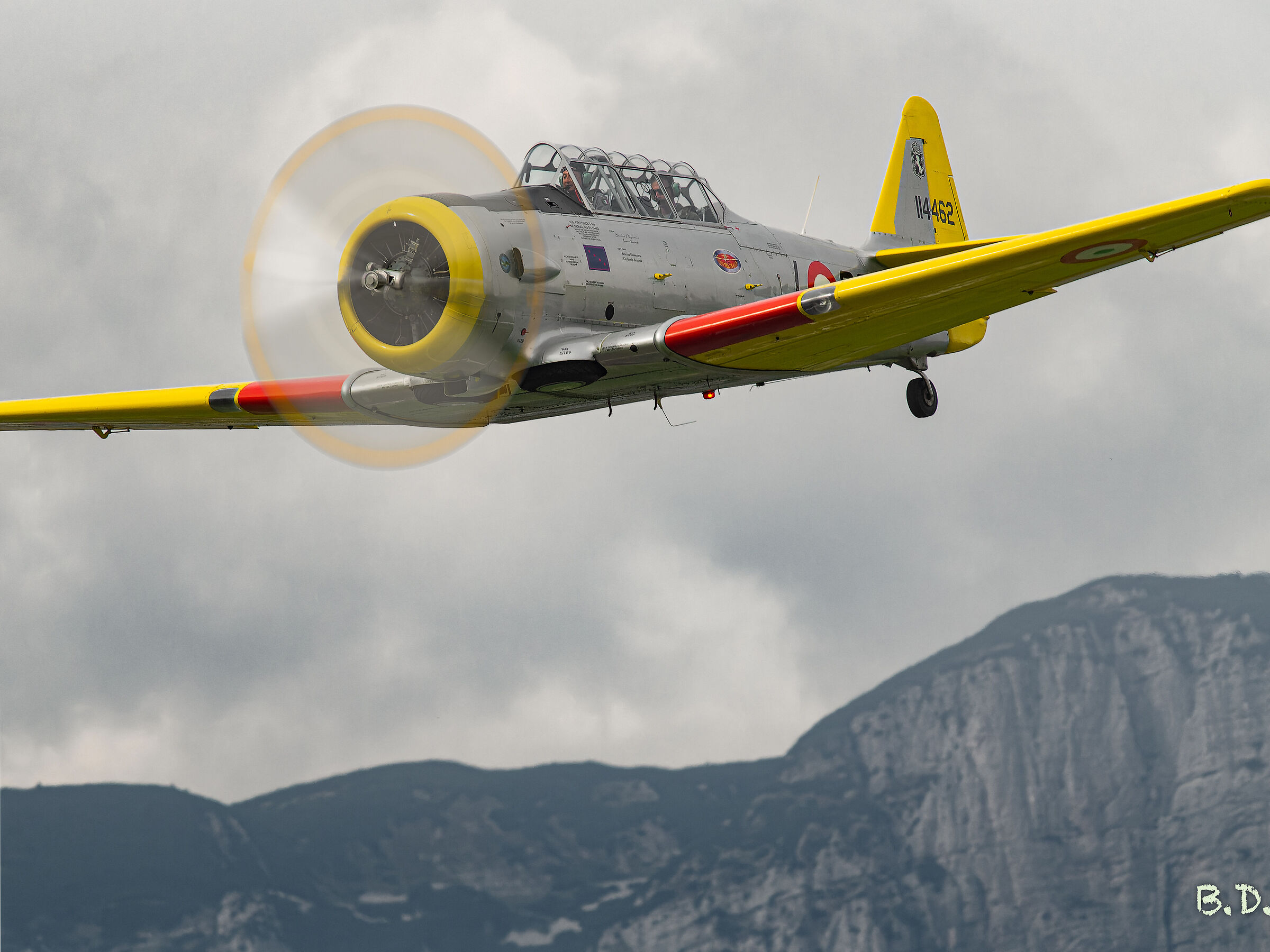 Texan T6