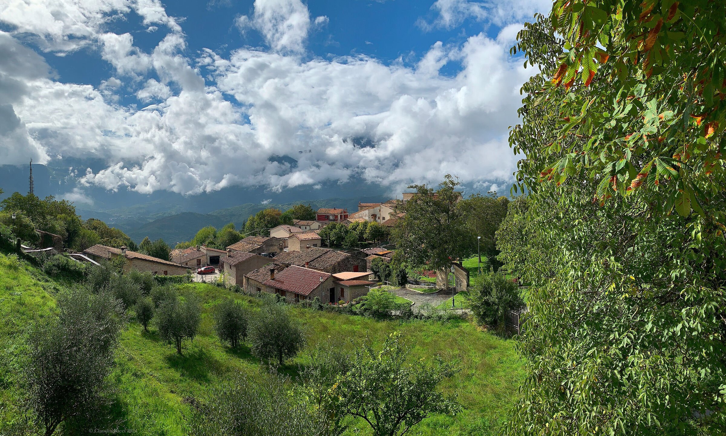 Early autumn splendour