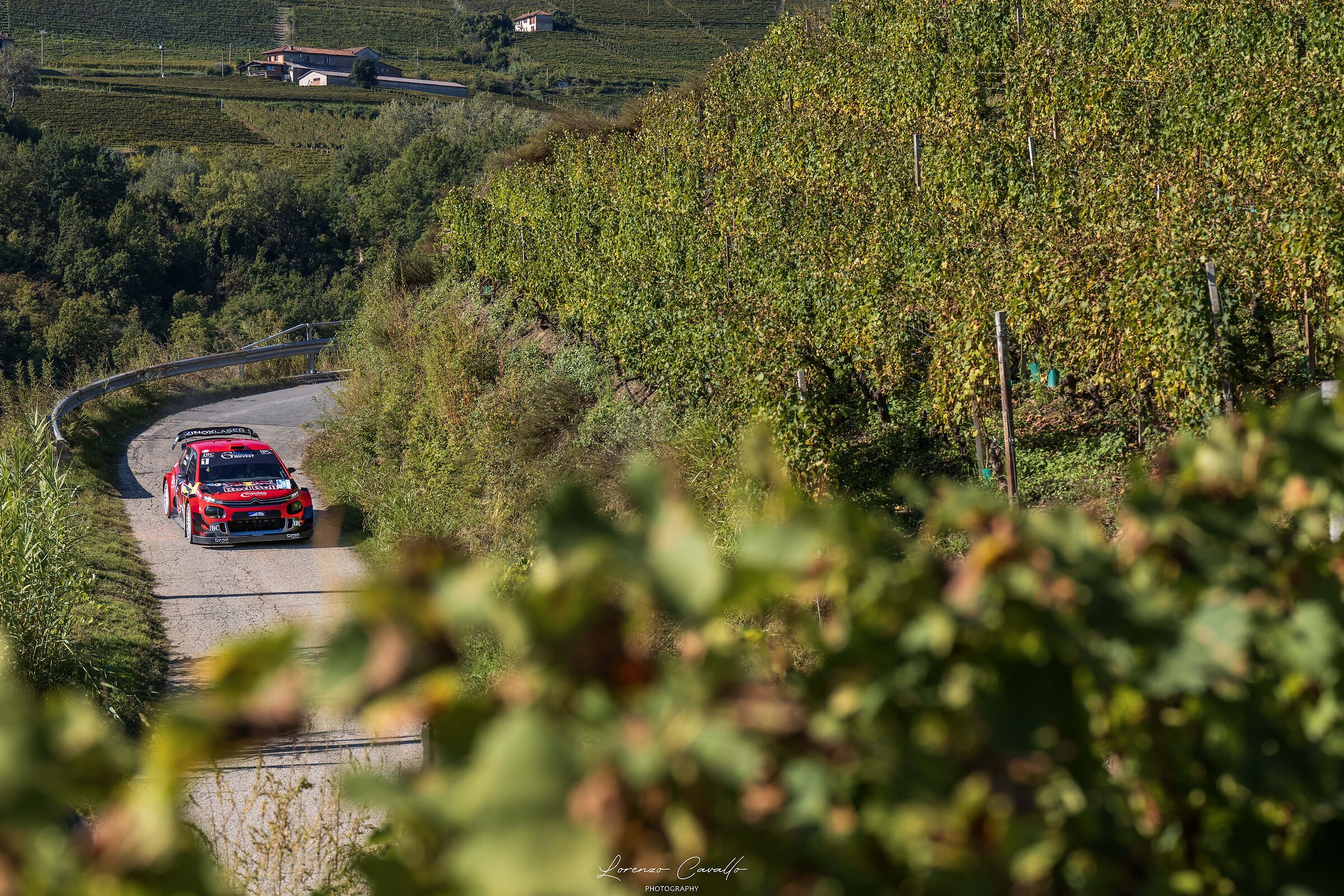 Autumn in the Langhe