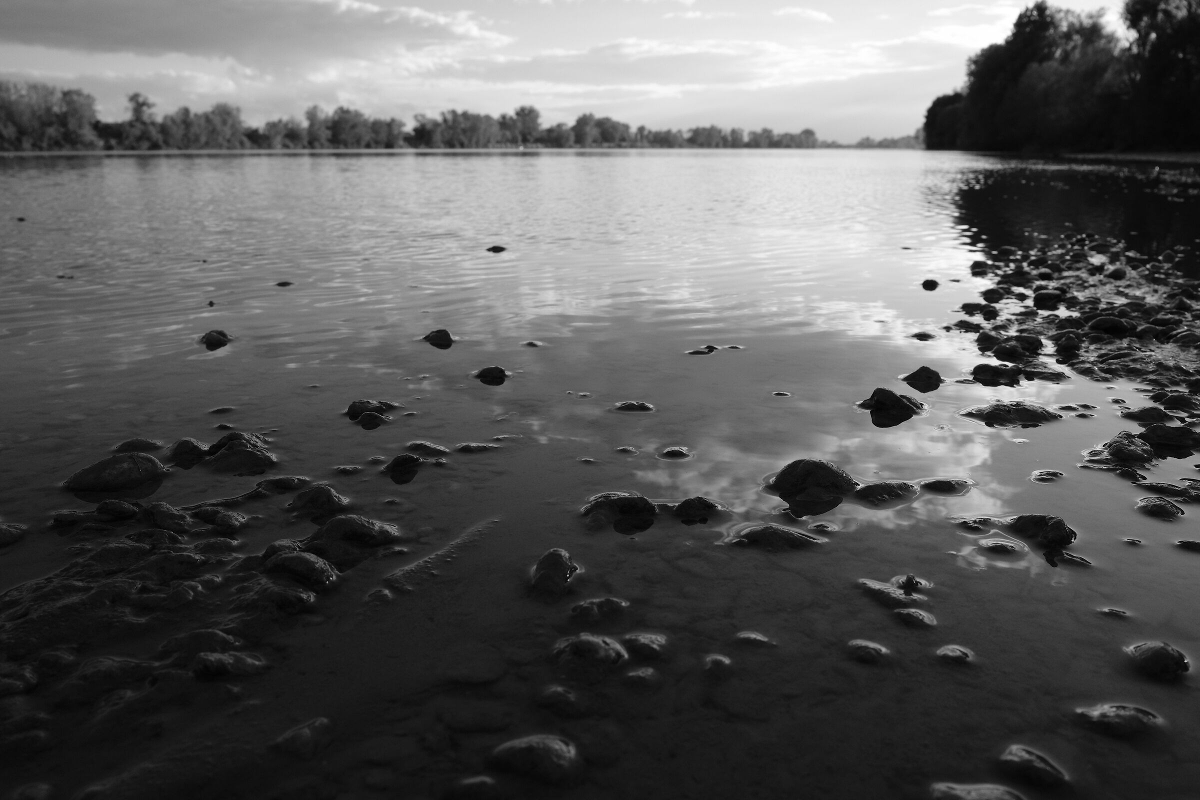 verso sera, dove il Po piano piano si ritira