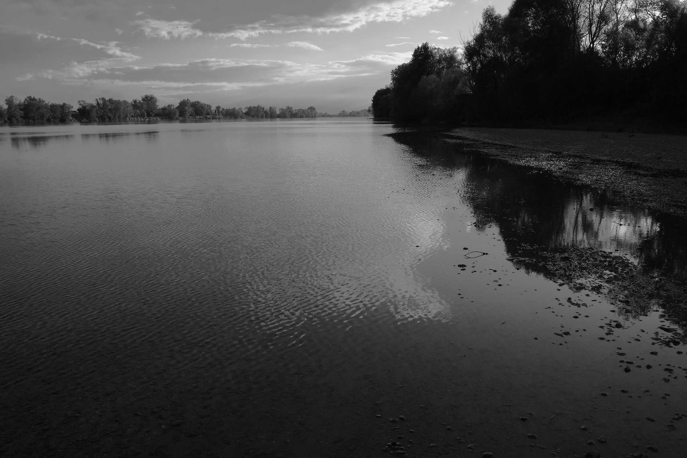 towards evening, where the Po slowly retreats