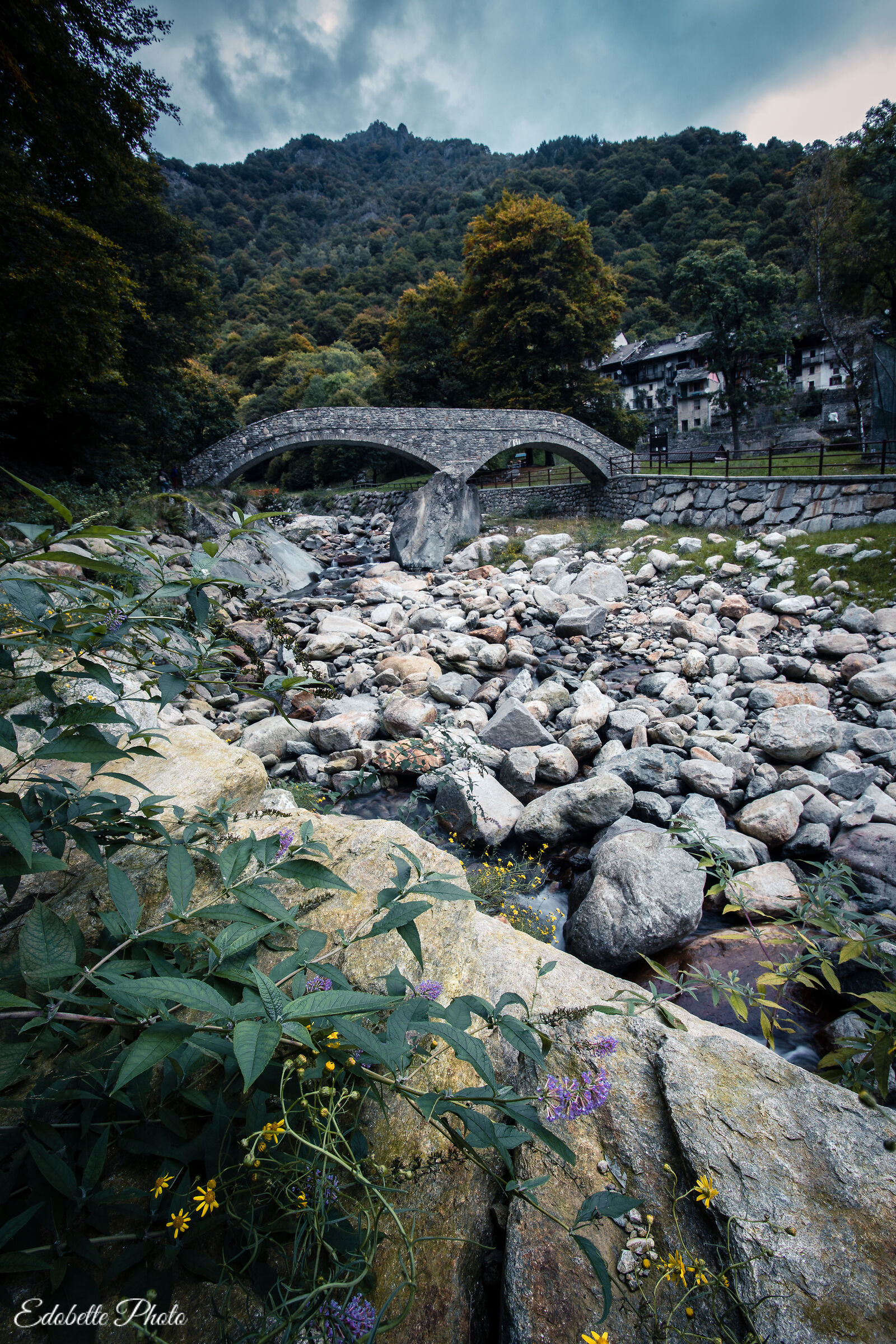 Torrente Cervo